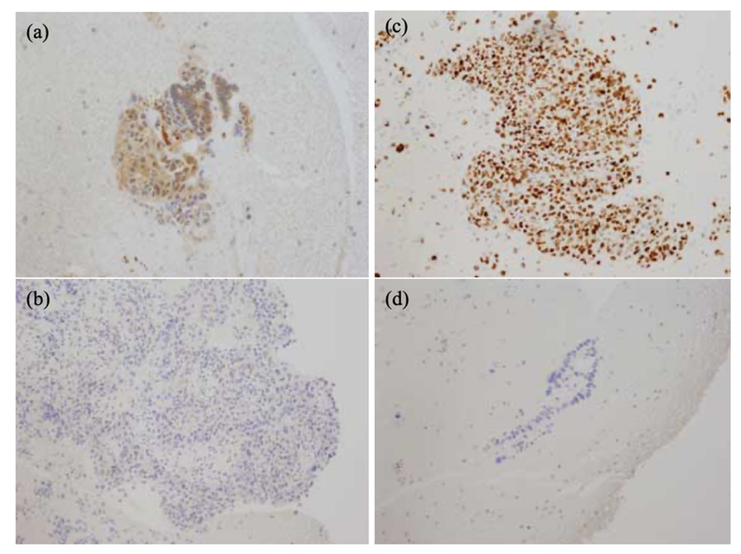 Jcm 11 06097 g002 Jcm 11 06097 g002