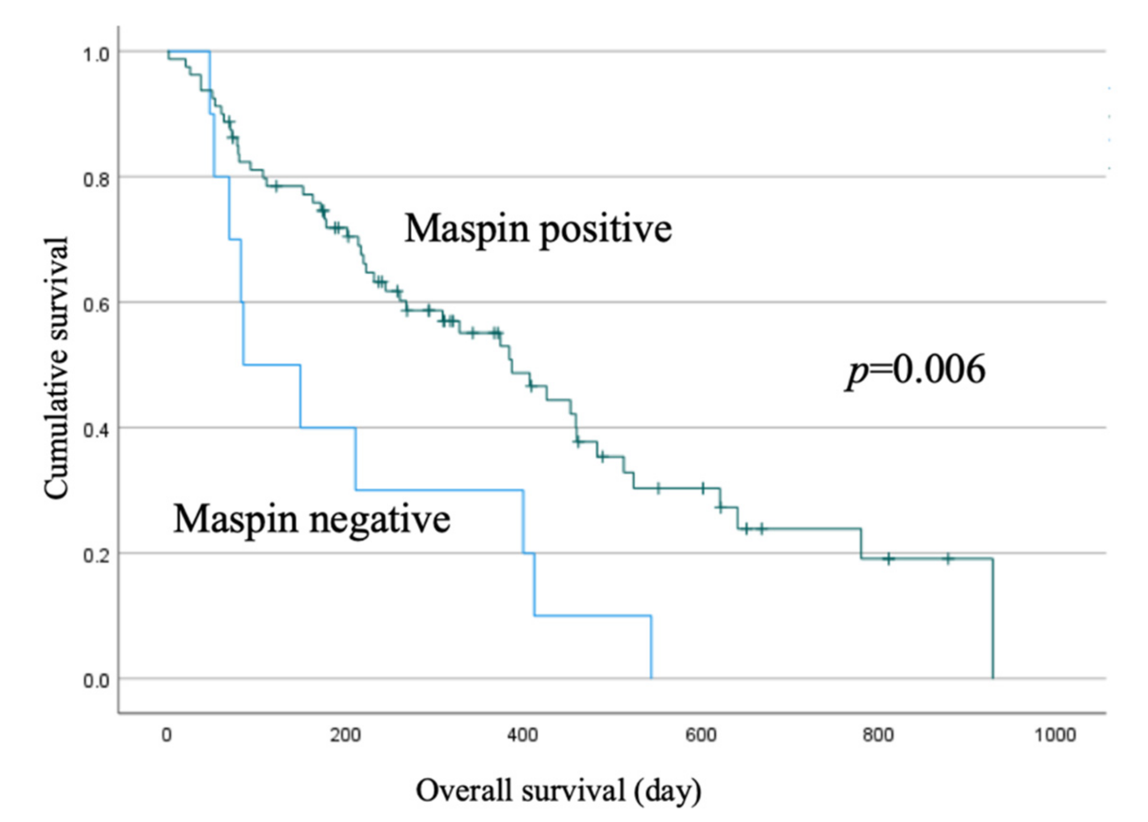 Jcm 11 06097 g004 Jcm 11 06097 g004