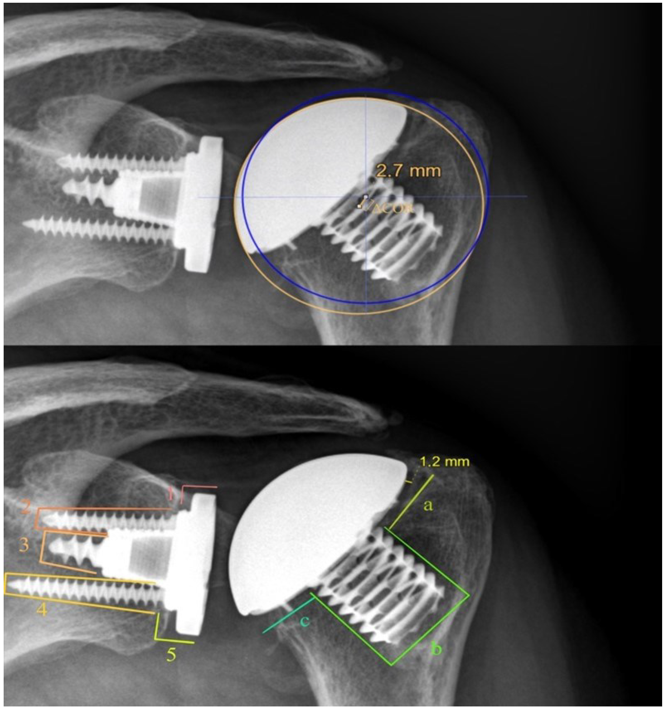 Jcm 11 06107 g002 Jcm 11 06107 g002