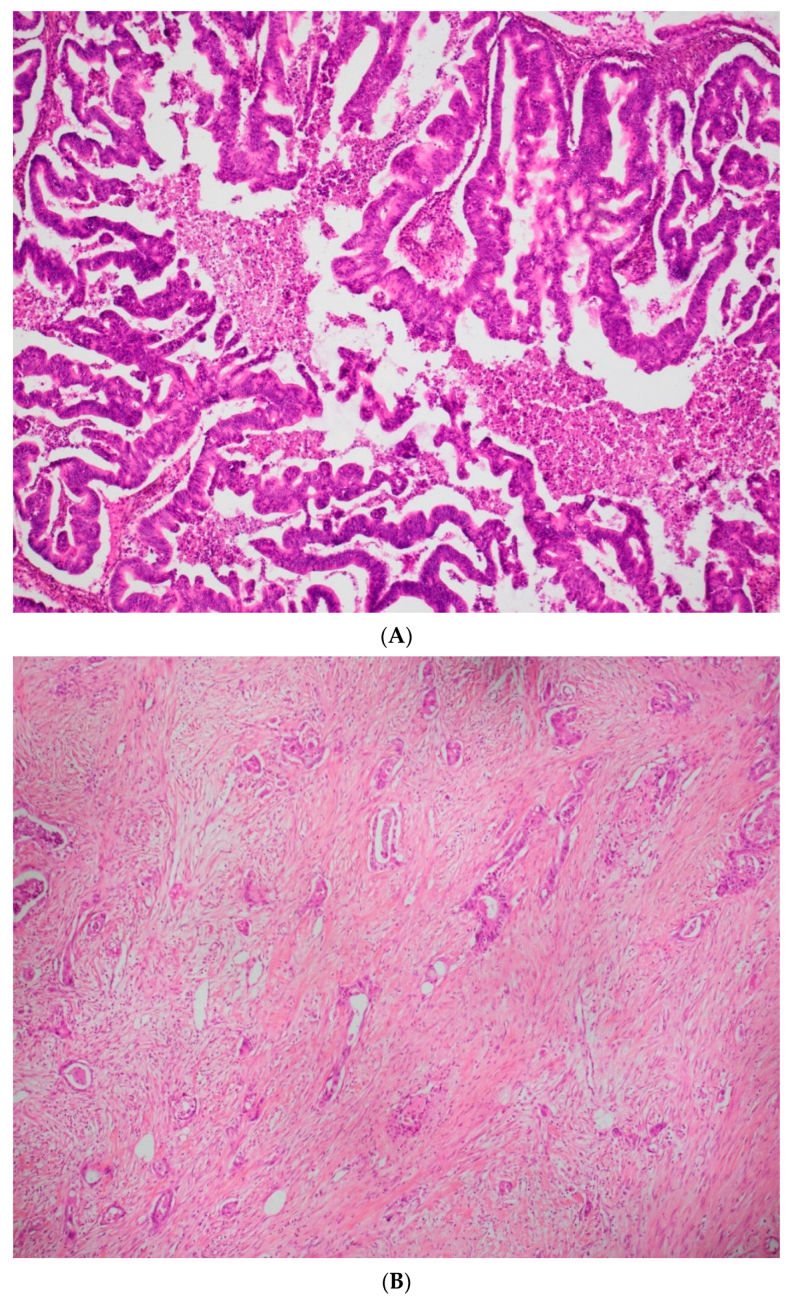 Jcm 11 06120 g001 Jcm 11 06120 g001