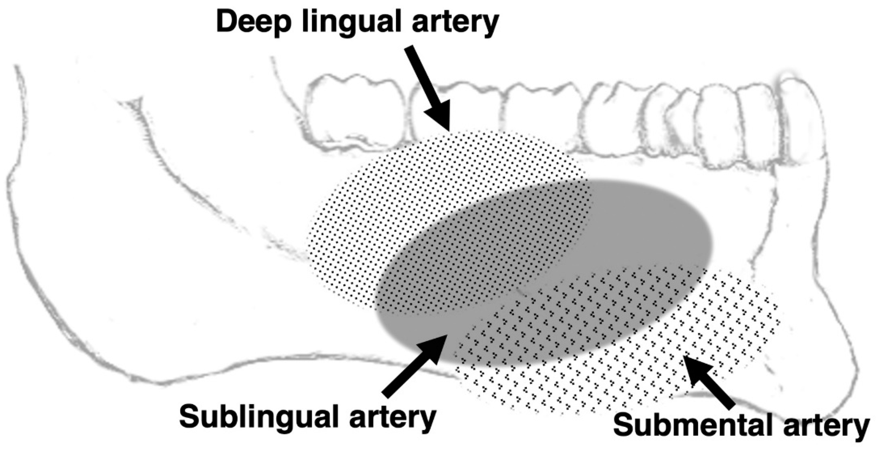 Jcm 11 06137 g002 Jcm 11 06137 g002