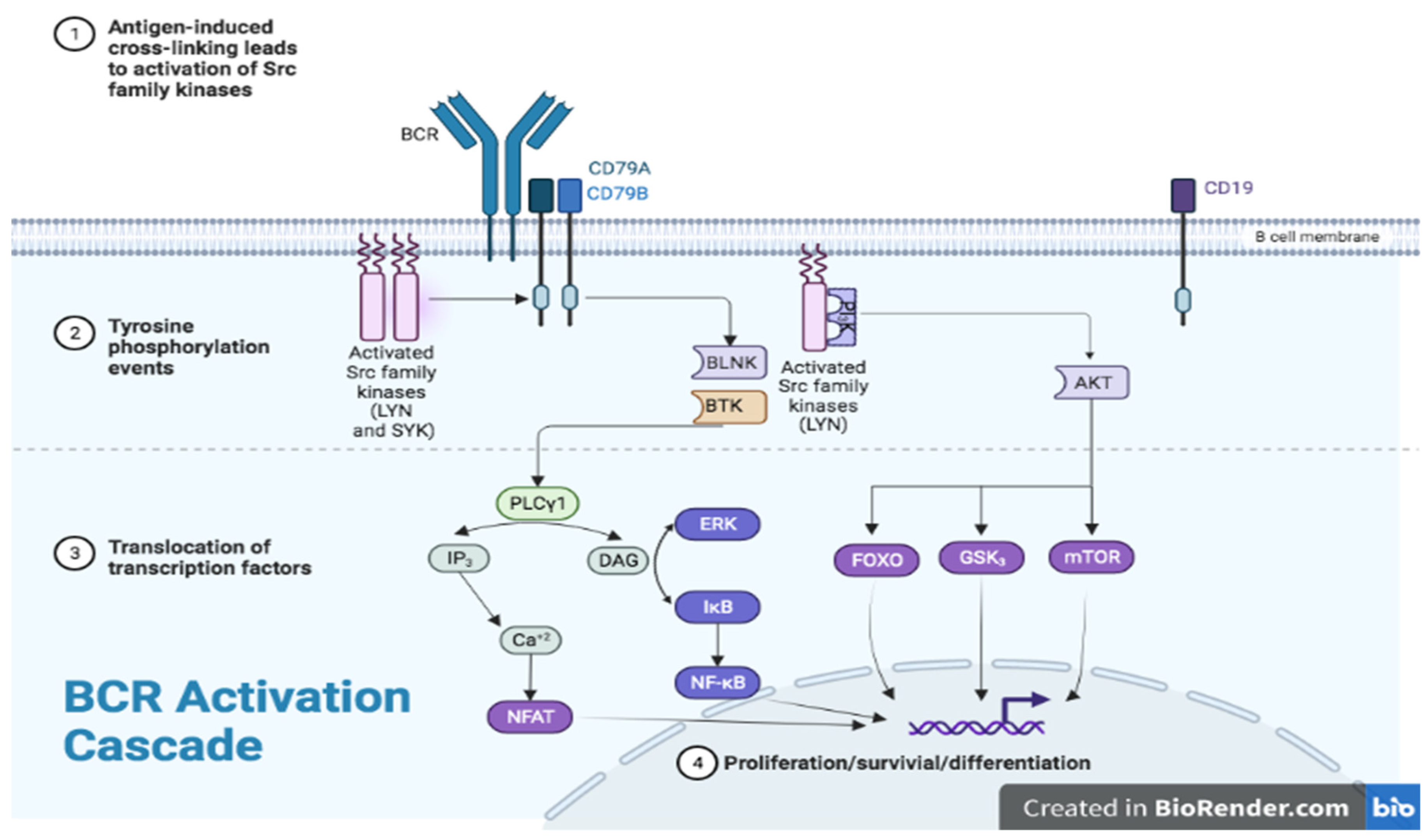 Jcm 11 06139 g002 Jcm 11 06139 g002