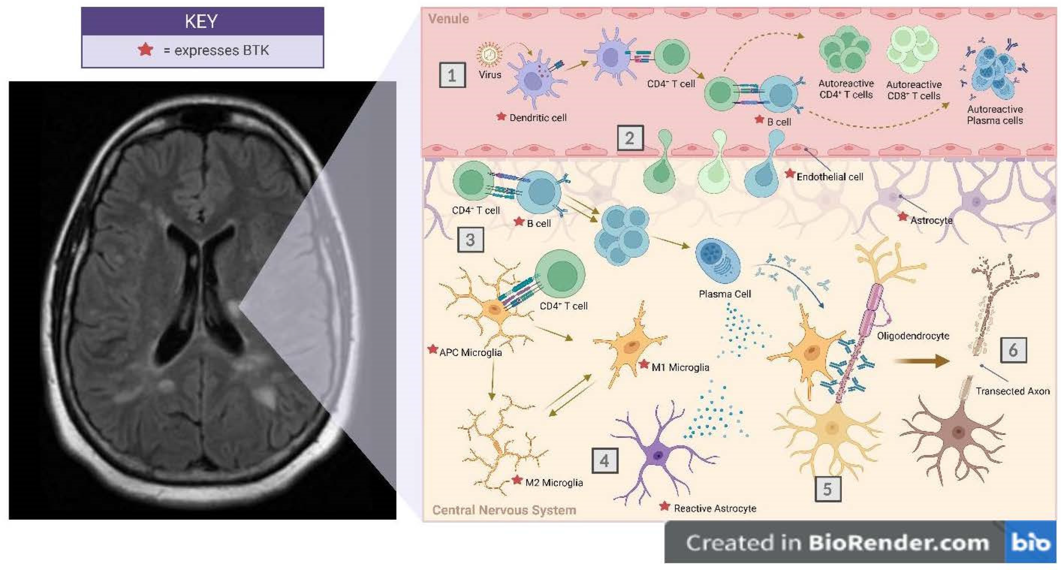 Jcm 11 06139 g003 Jcm 11 06139 g003