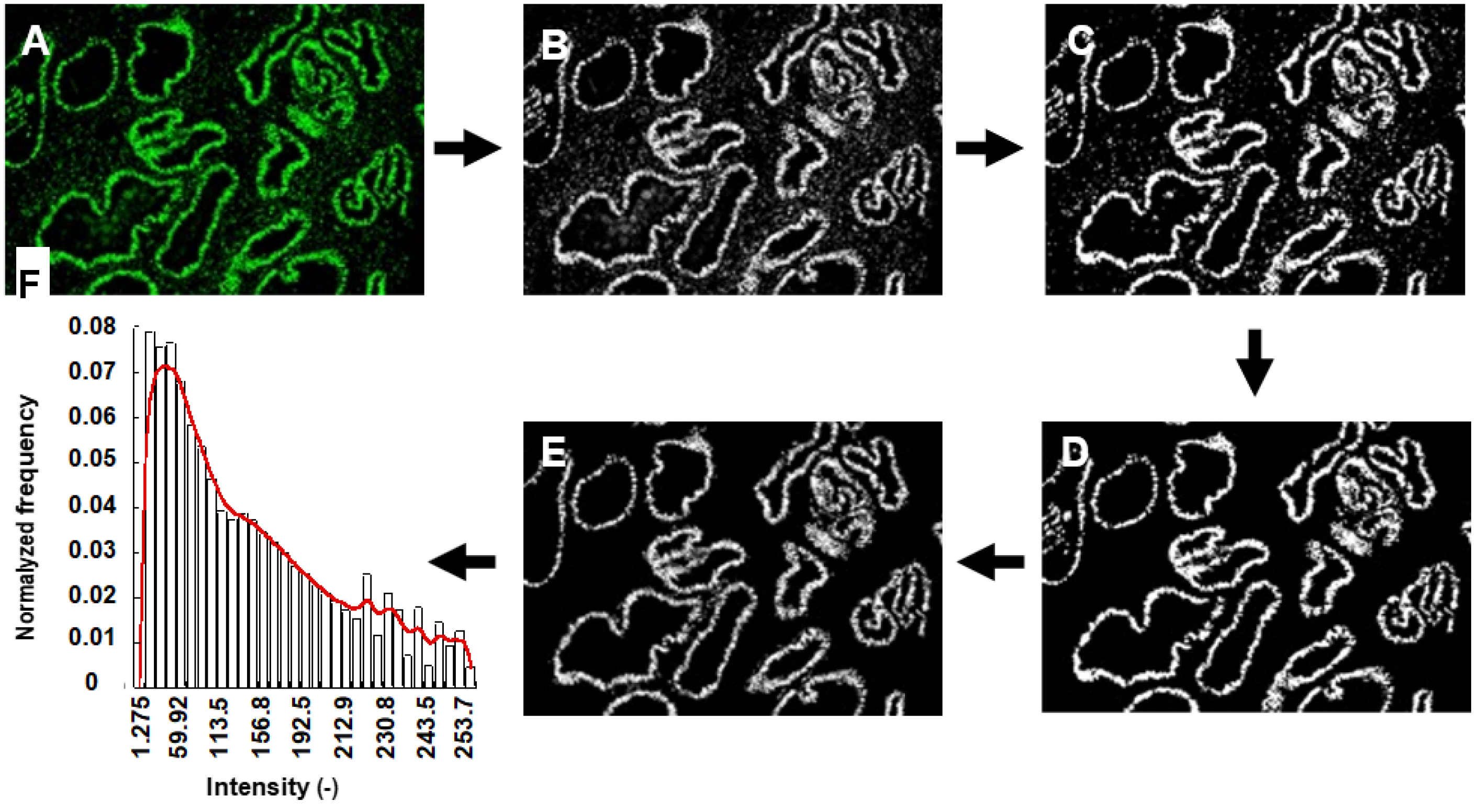 Jcm 11 06164 g001 Jcm 11 06164 g001