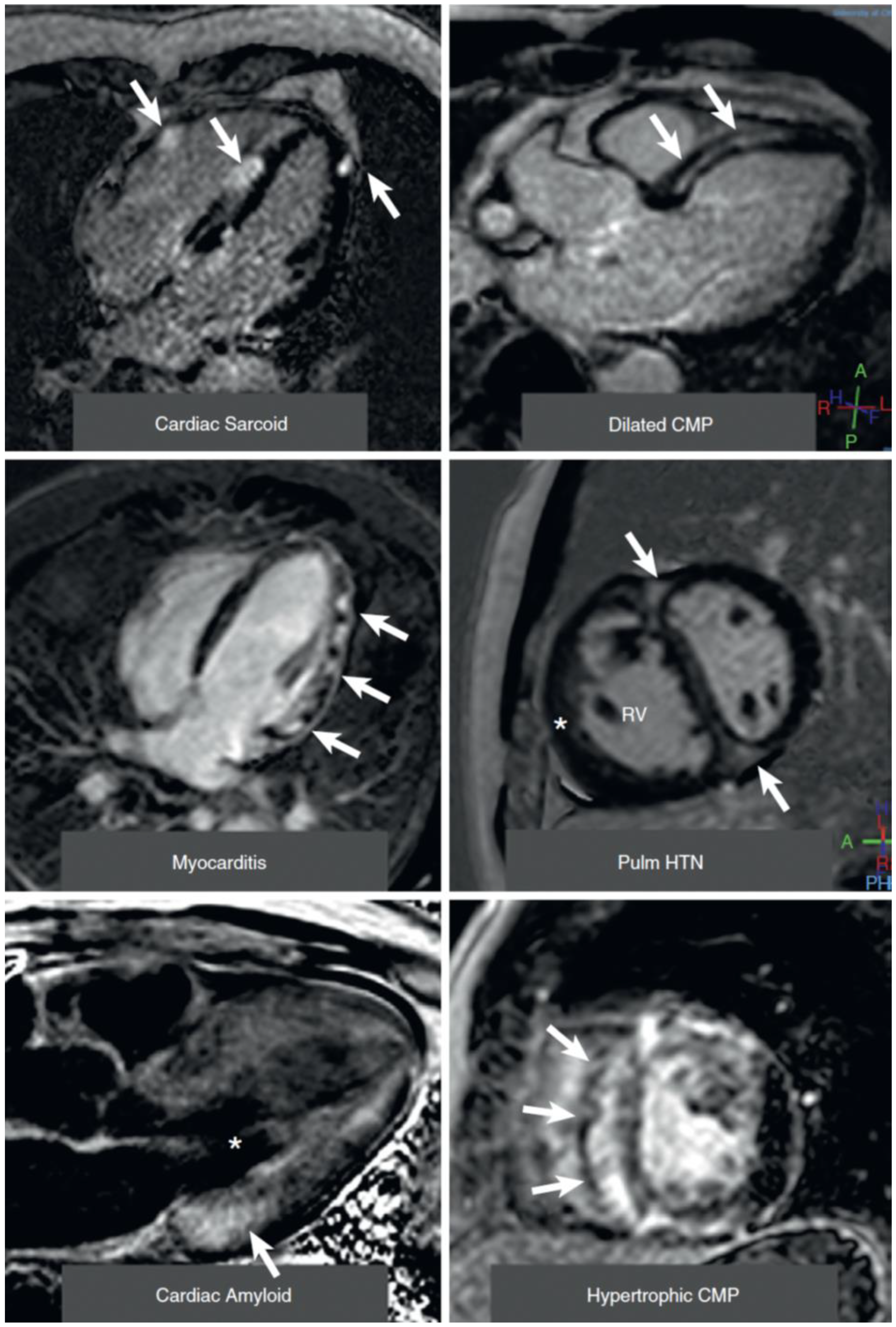 Jcm 11 06201 g004 Jcm 11 06201 g004