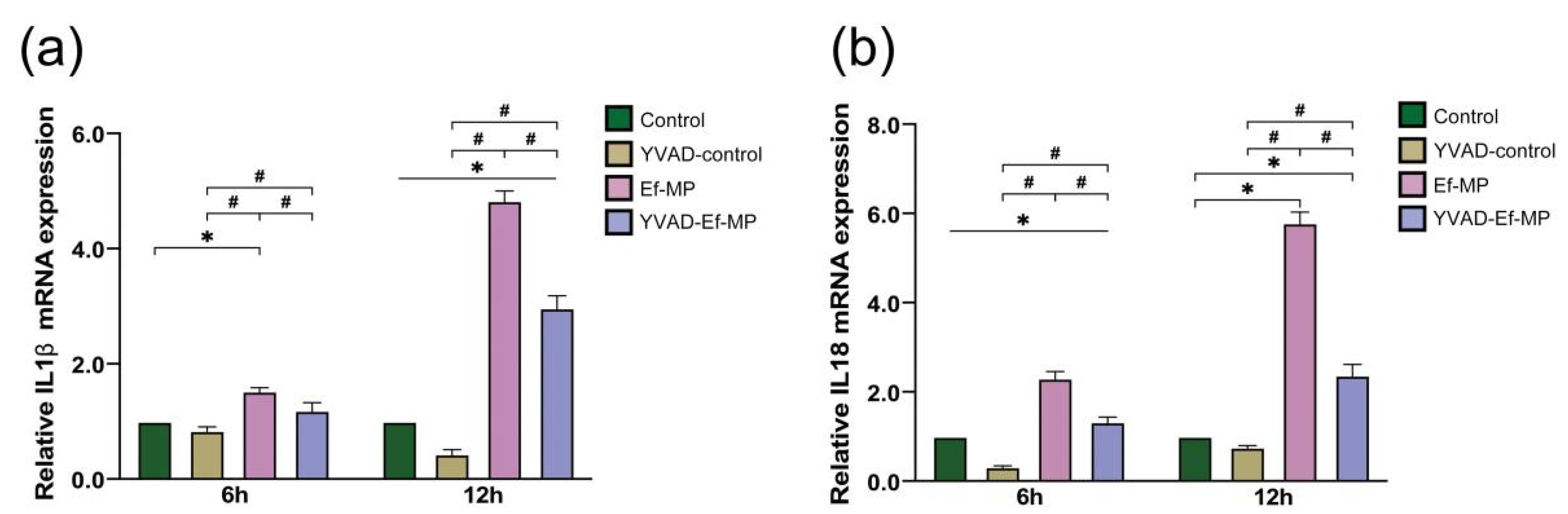 Jcm 11 06204 g004 Jcm 11 06204 g004