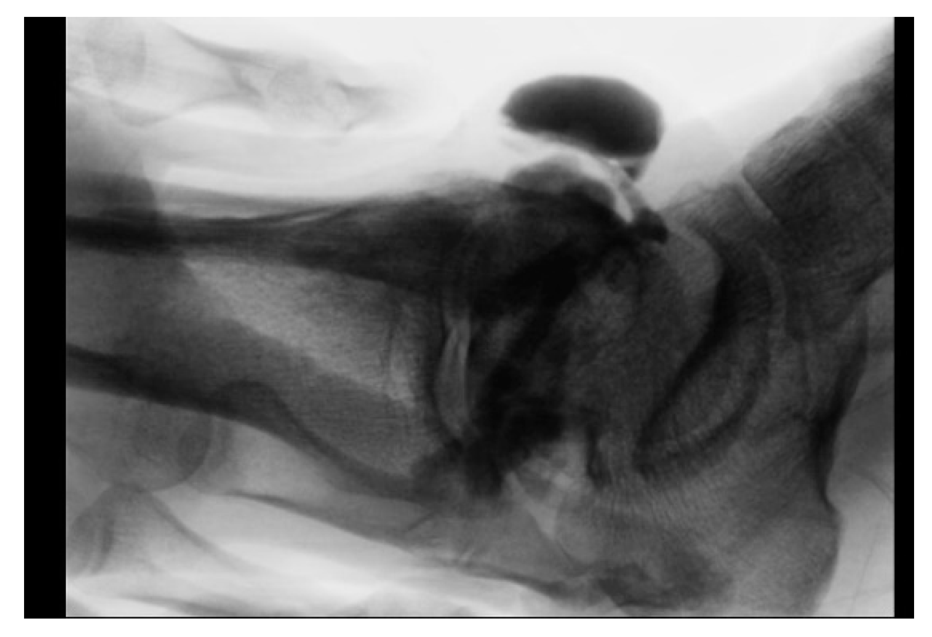 Jcm 11 06215 g007 Jcm 11 06215 g007