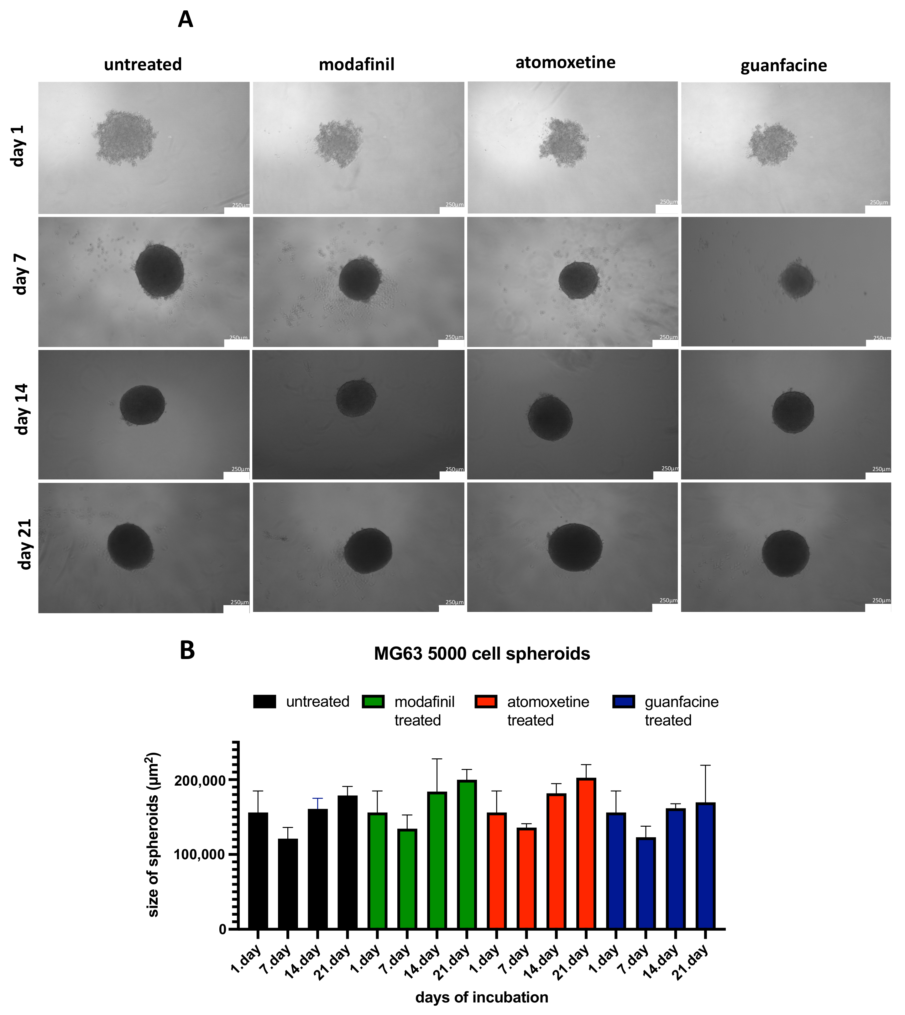 Jcm 11 06218 g002a Jcm 11 06218 g002a