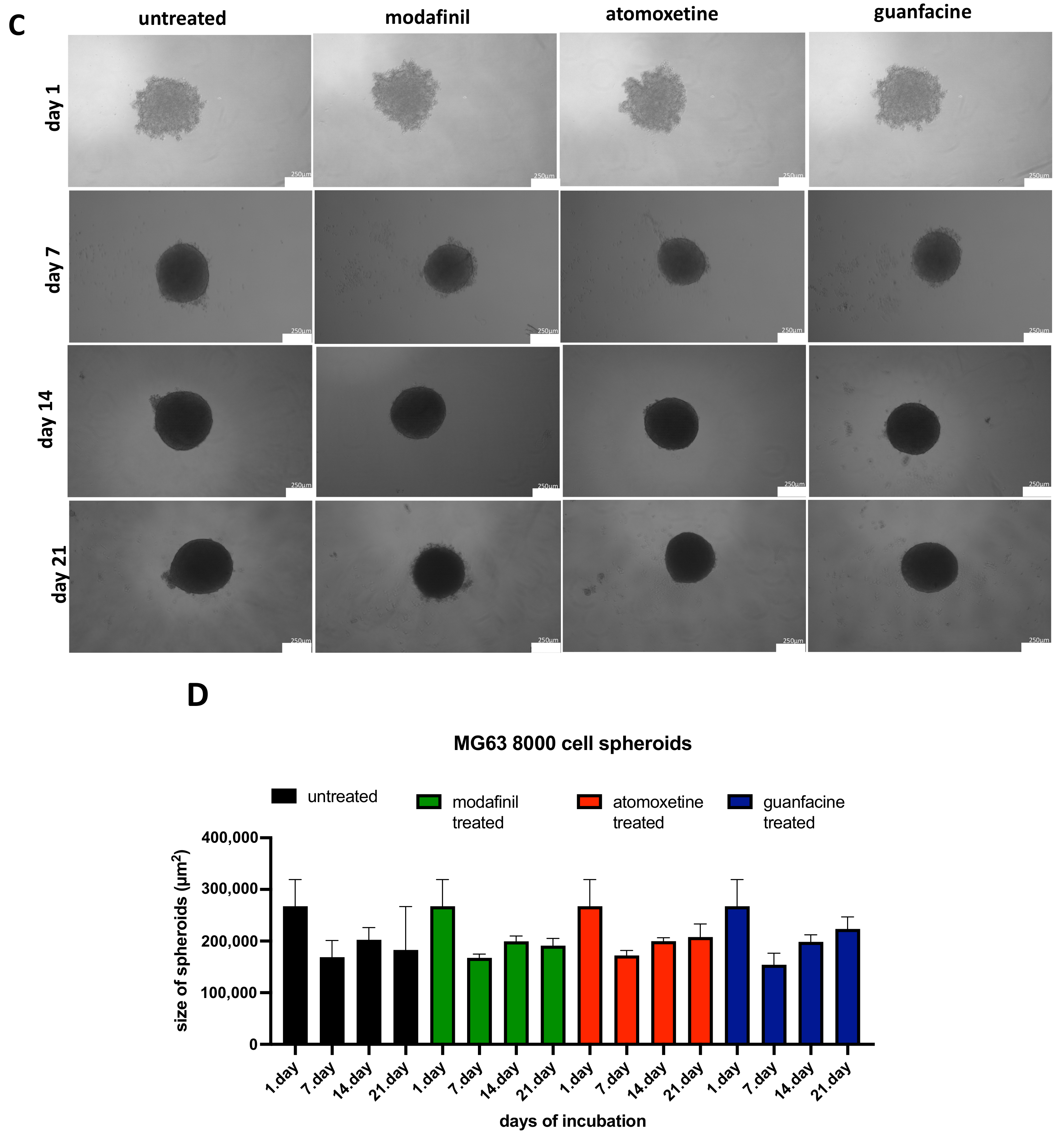 Jcm 11 06218 g002b Jcm 11 06218 g002b