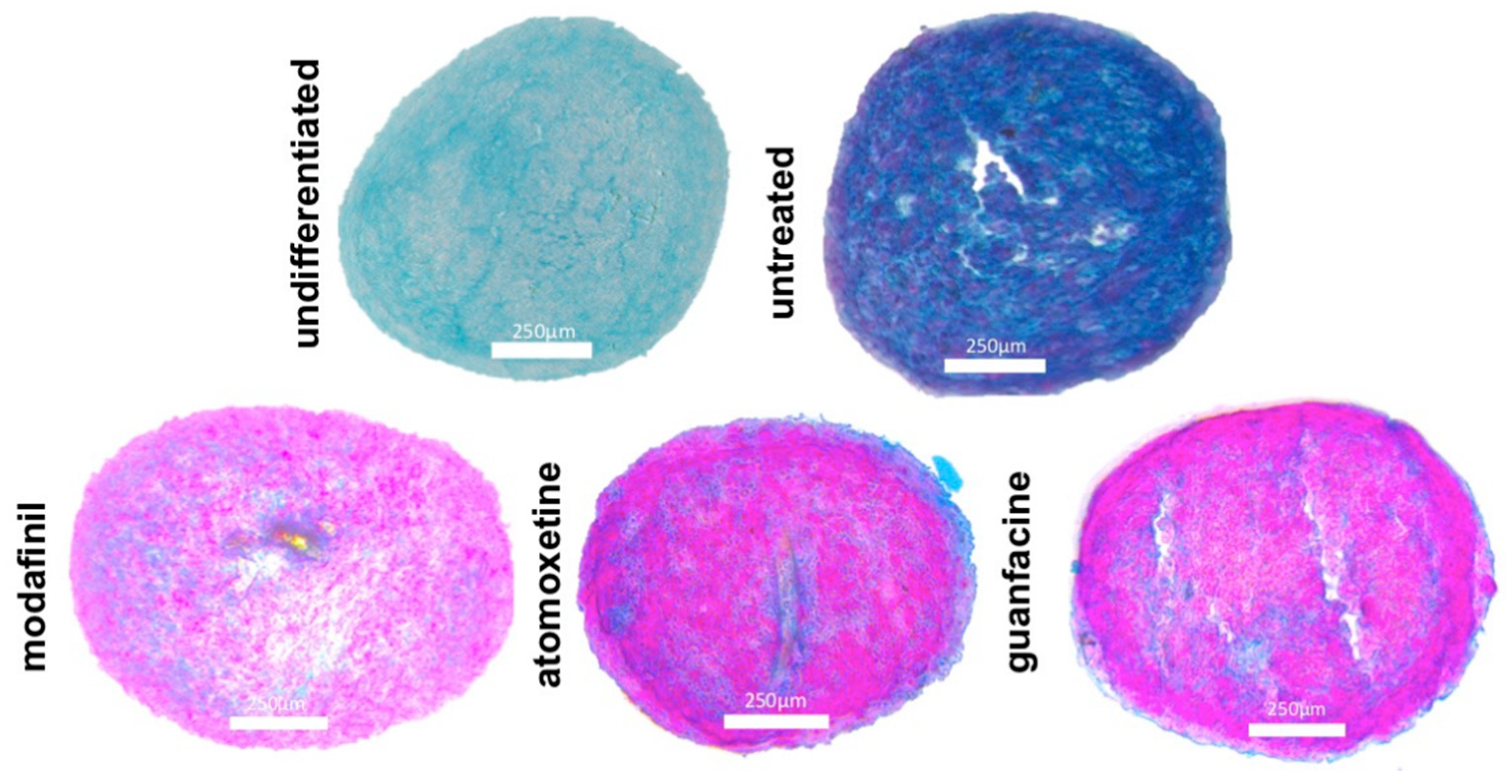 Jcm 11 06218 g004 Jcm 11 06218 g004