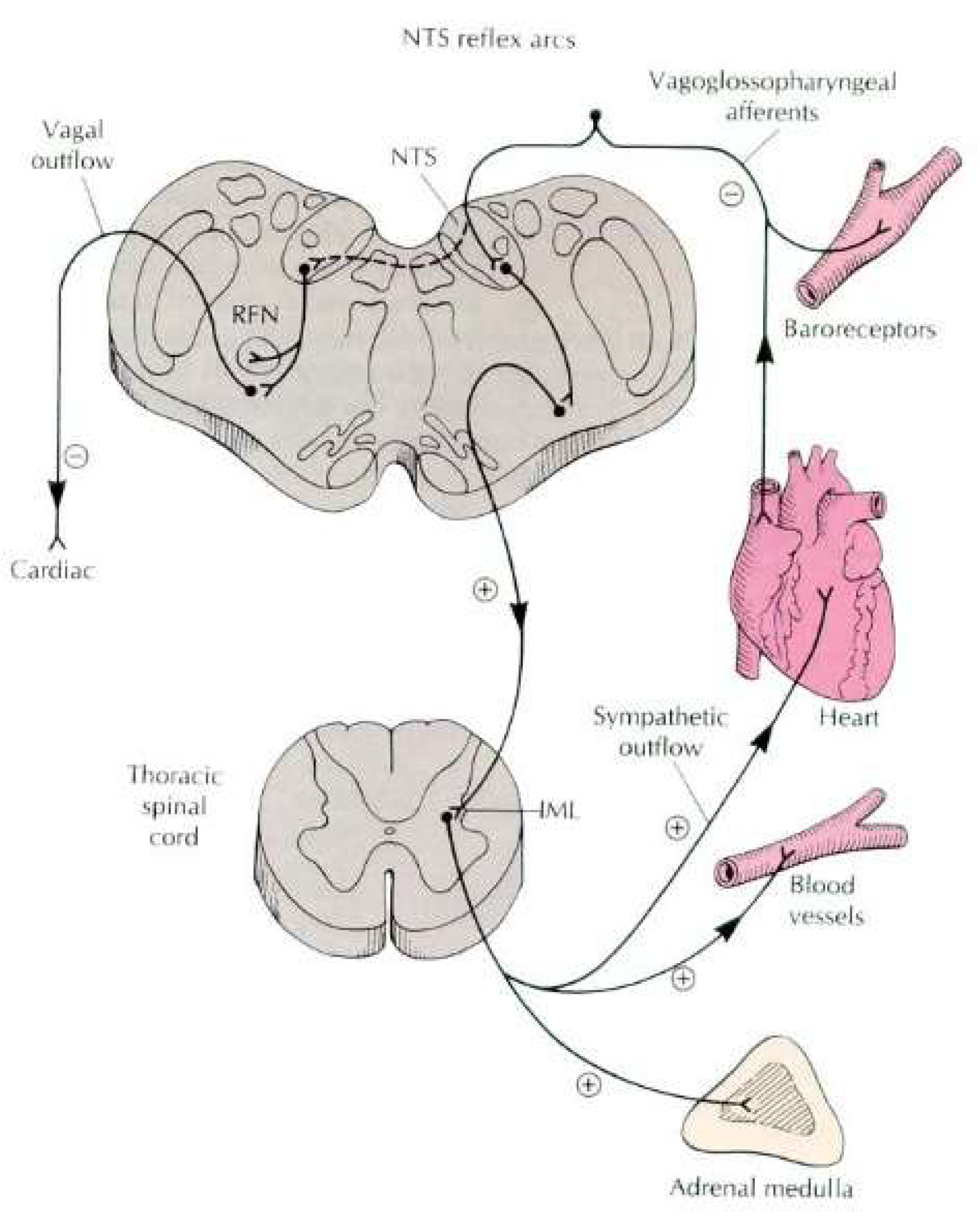 Jcm 11 06220 g001 Jcm 11 06220 g001