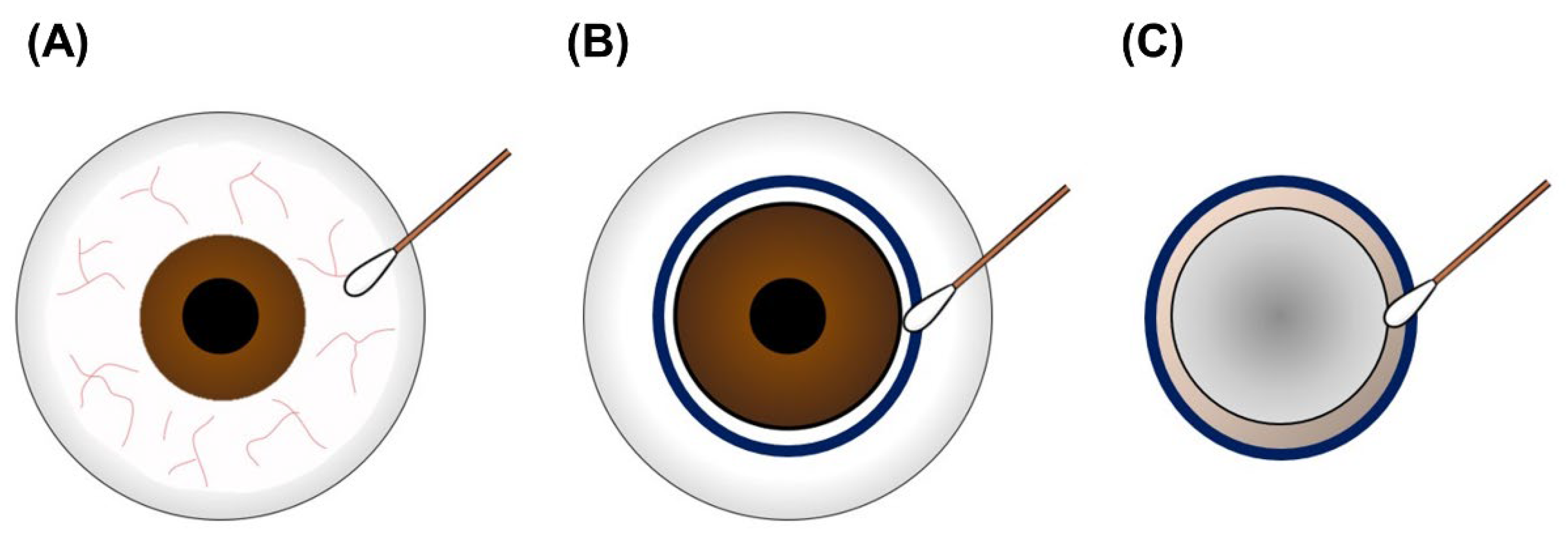 Jcm 11 06236 g003 Jcm 11 06236 g003