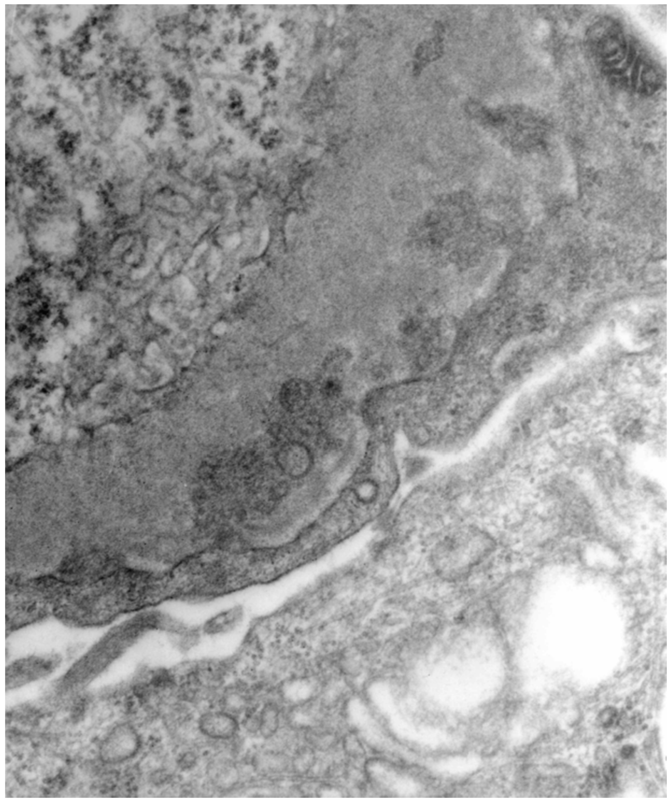 Jcm 11 06247 g002 Jcm 11 06247 g002