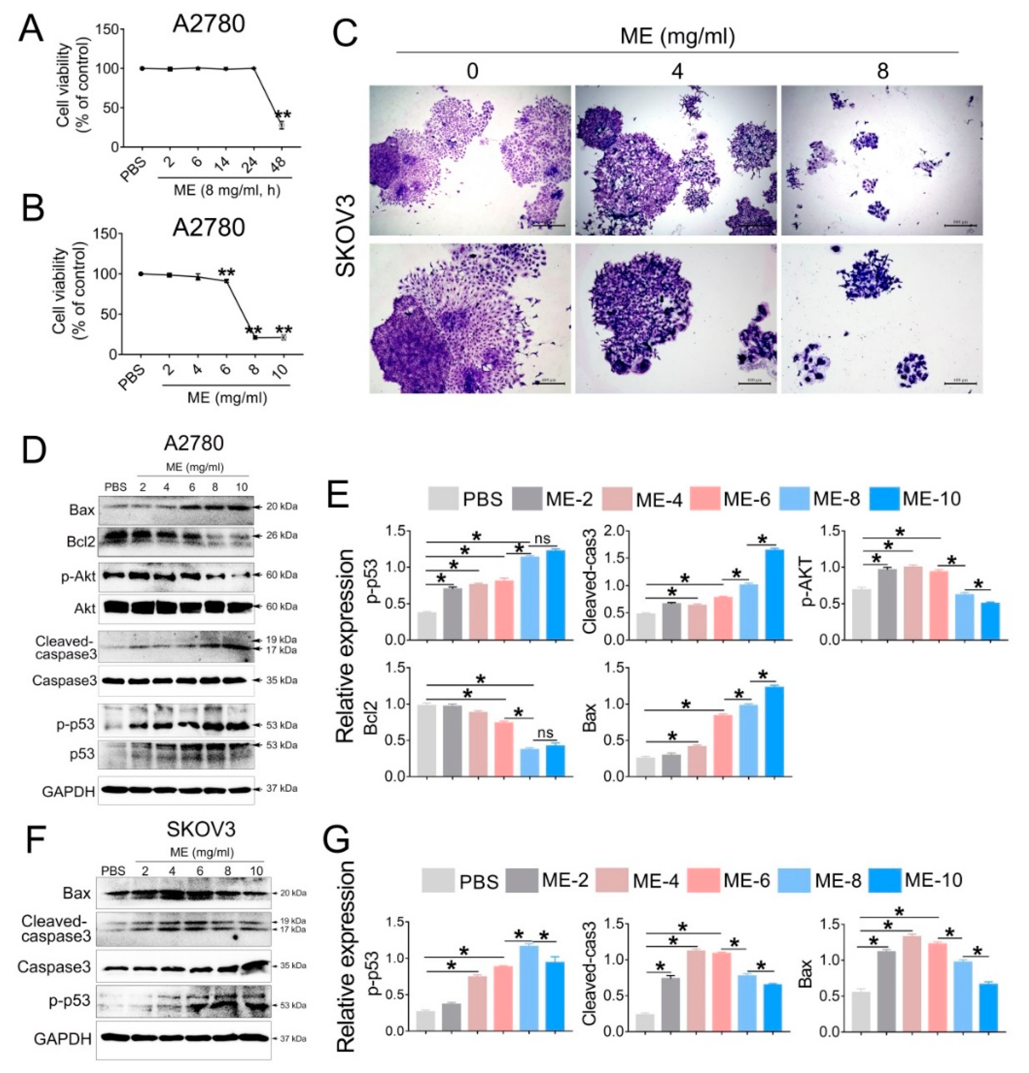 Jcm 11 06271 g001 Jcm 11 06271 g001