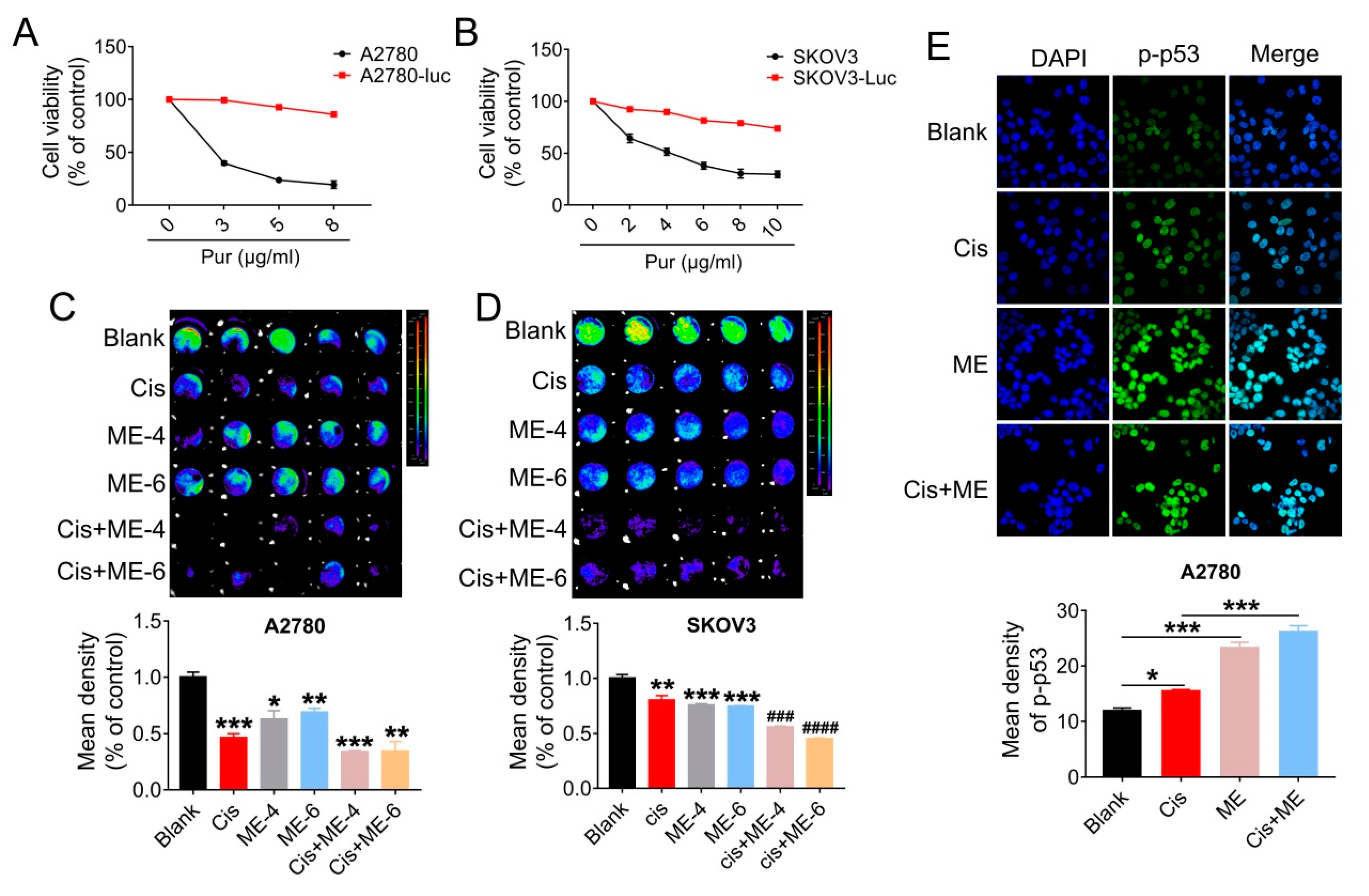 Jcm 11 06271 g003 Jcm 11 06271 g003