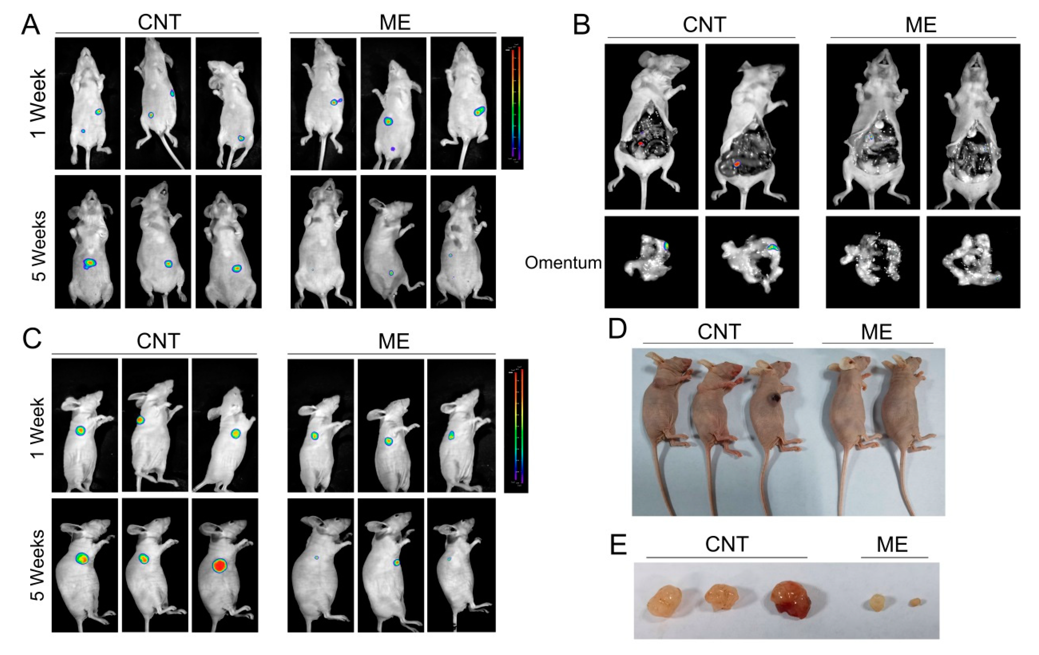 Jcm 11 06271 g004 Jcm 11 06271 g004