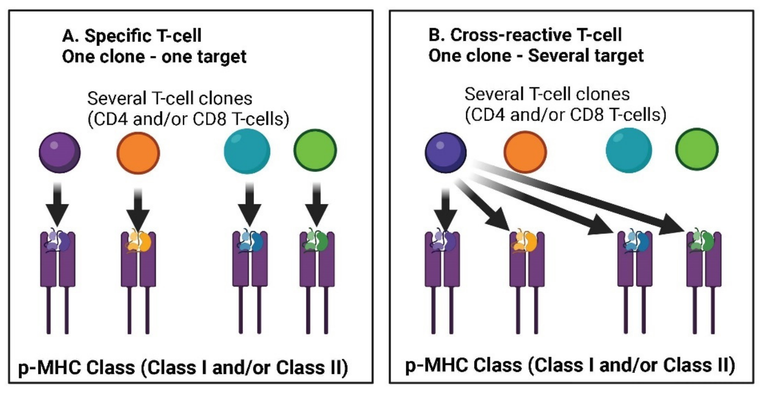 Jcm 11 06272 g002 Jcm 11 06272 g002