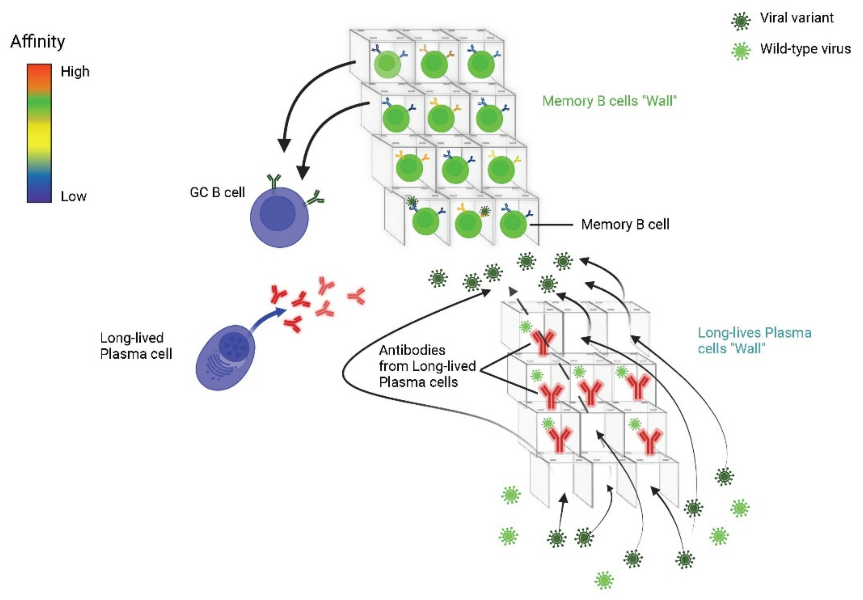 Jcm 11 06272 g003 Jcm 11 06272 g003