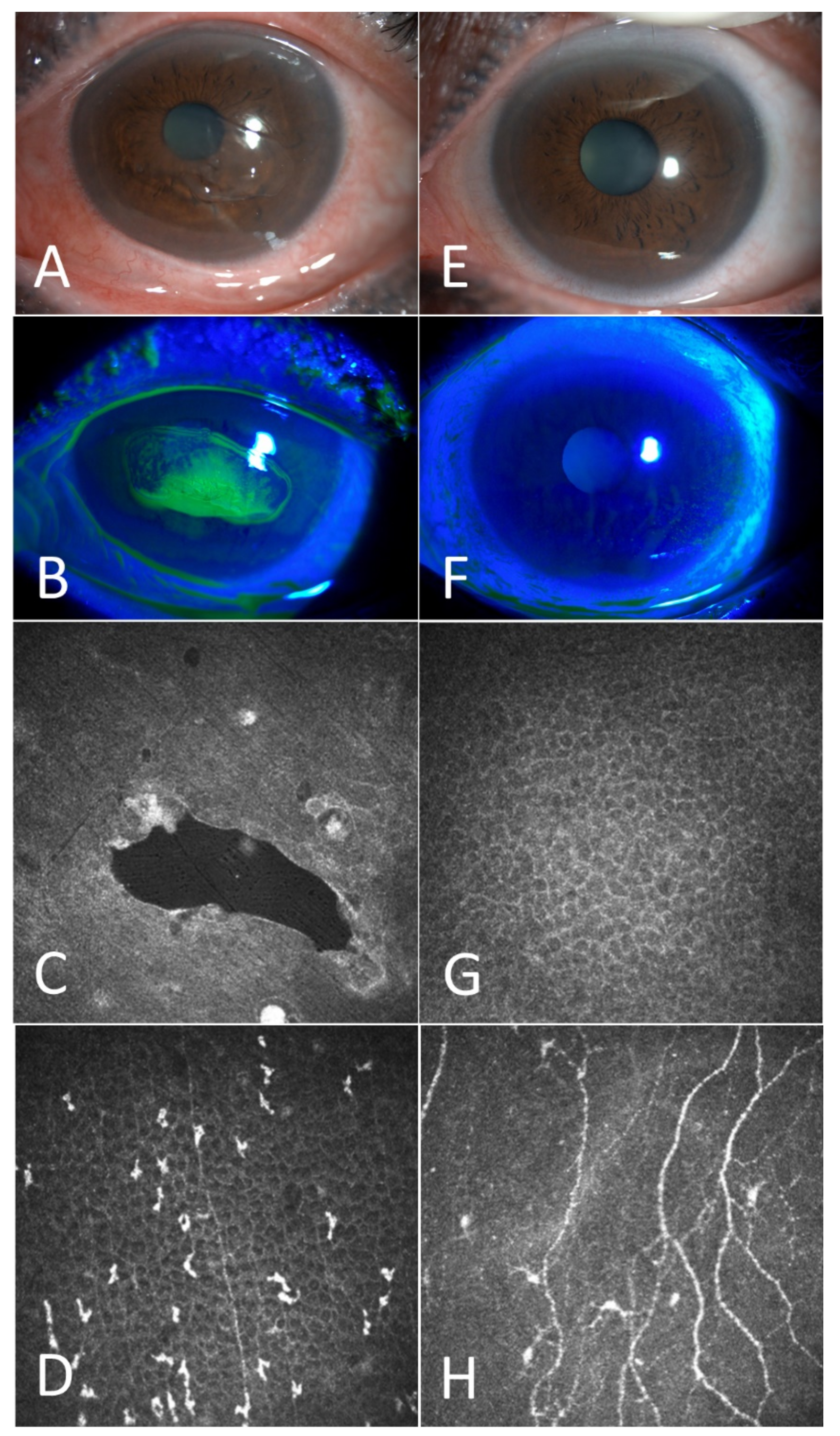 Jcm 11 06280 g001 Jcm 11 06280 g001