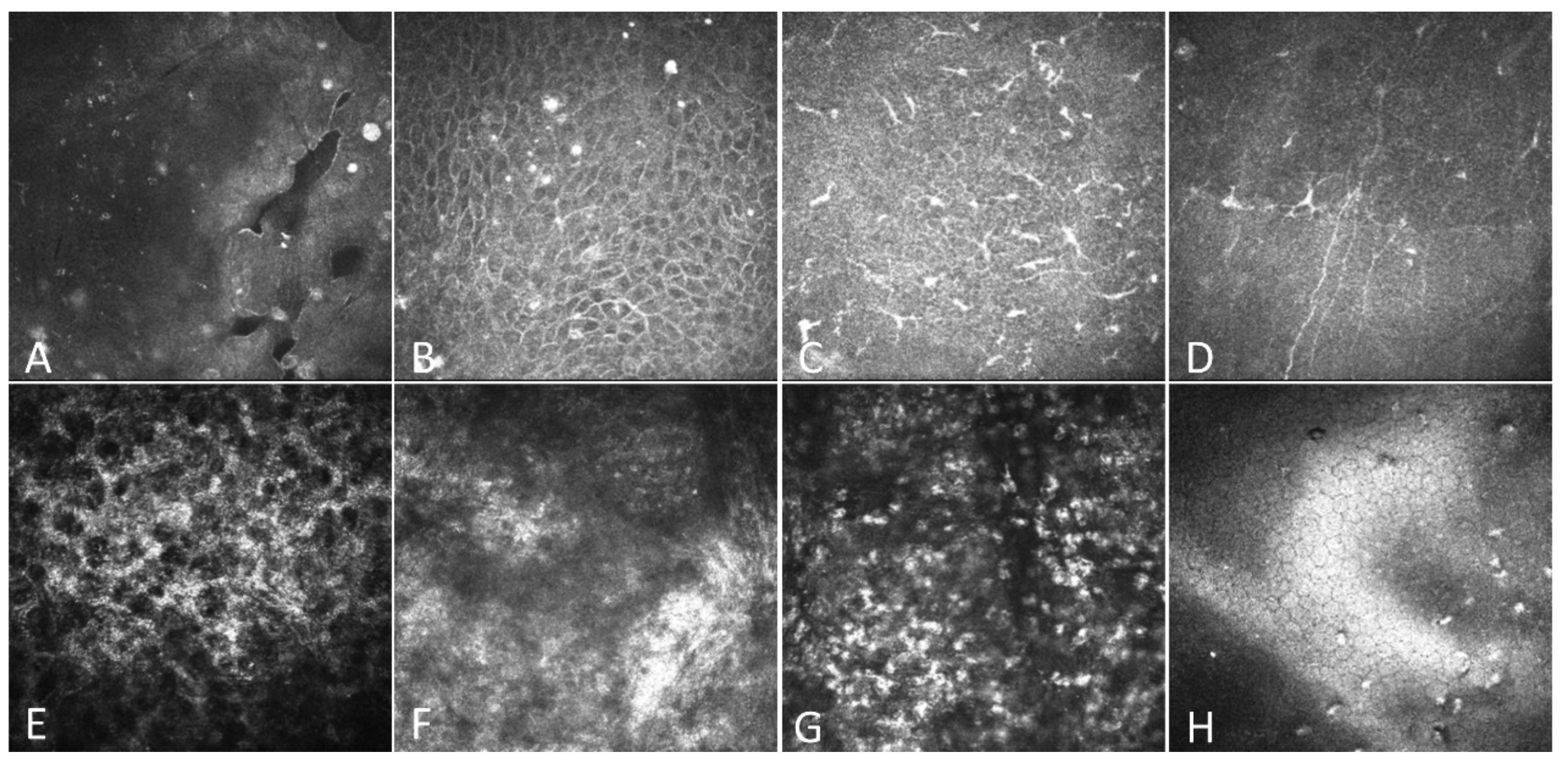 Jcm 11 06280 g003 Jcm 11 06280 g003
