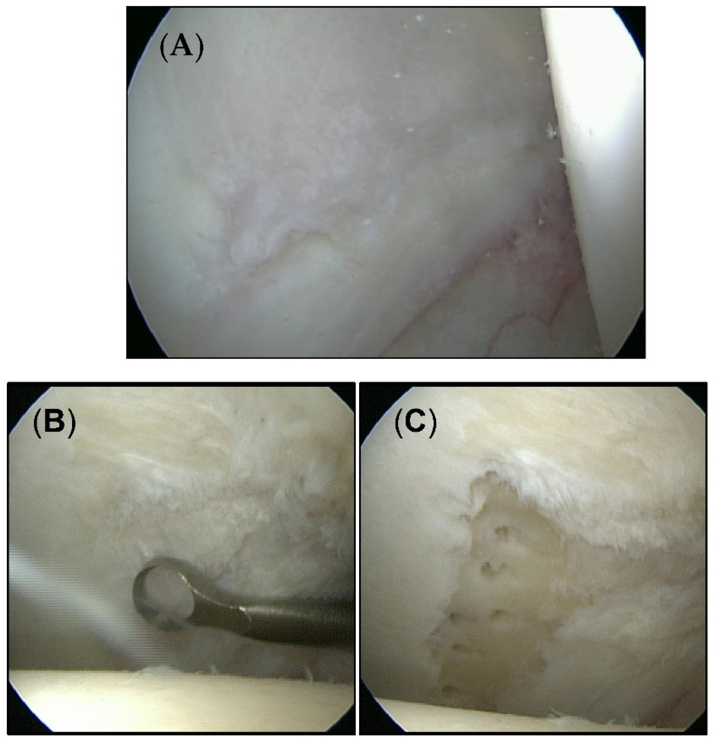 Jcm 11 06283 g001 Jcm 11 06283 g001