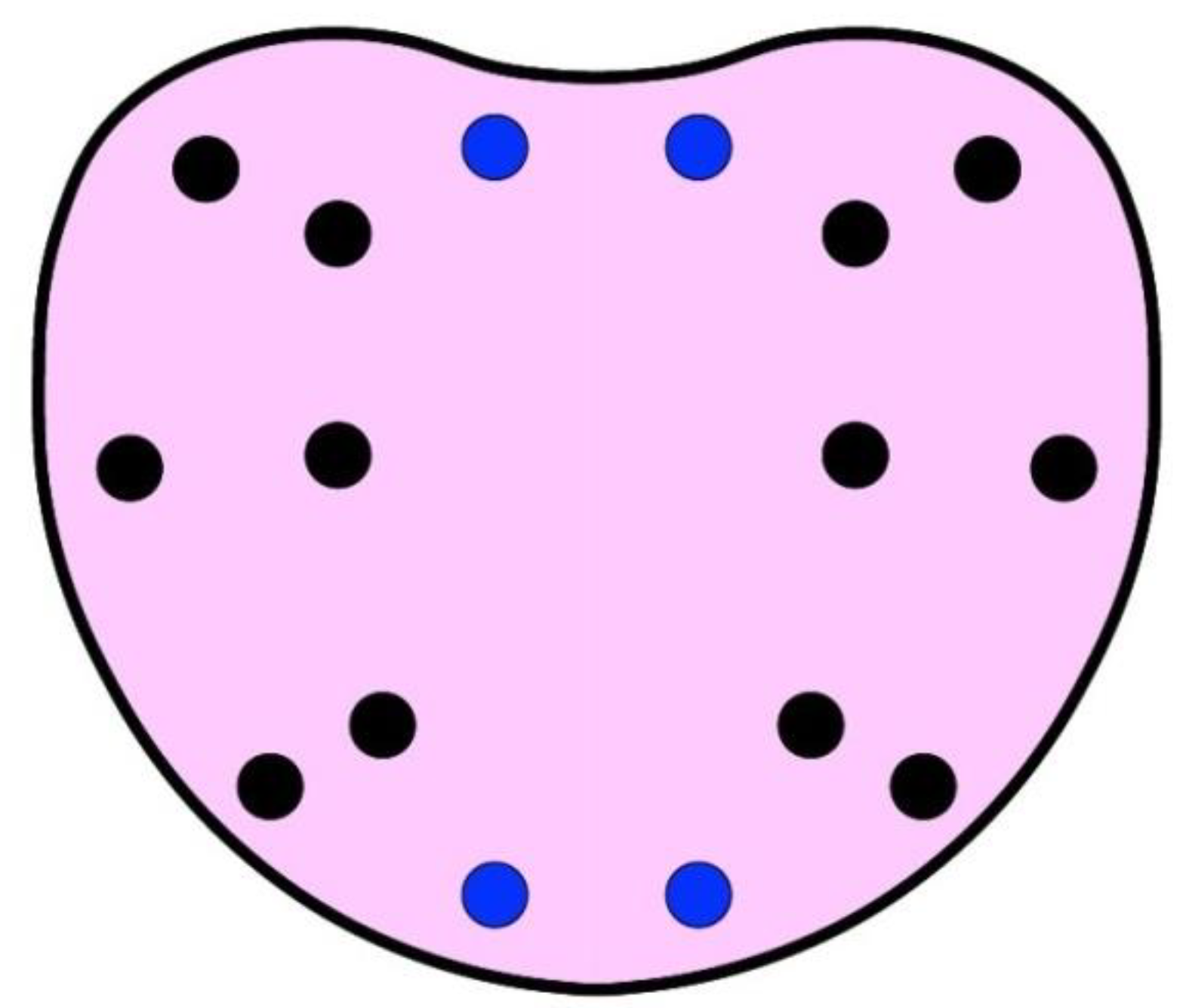 Jcm 11 06304 g001 Jcm 11 06304 g001