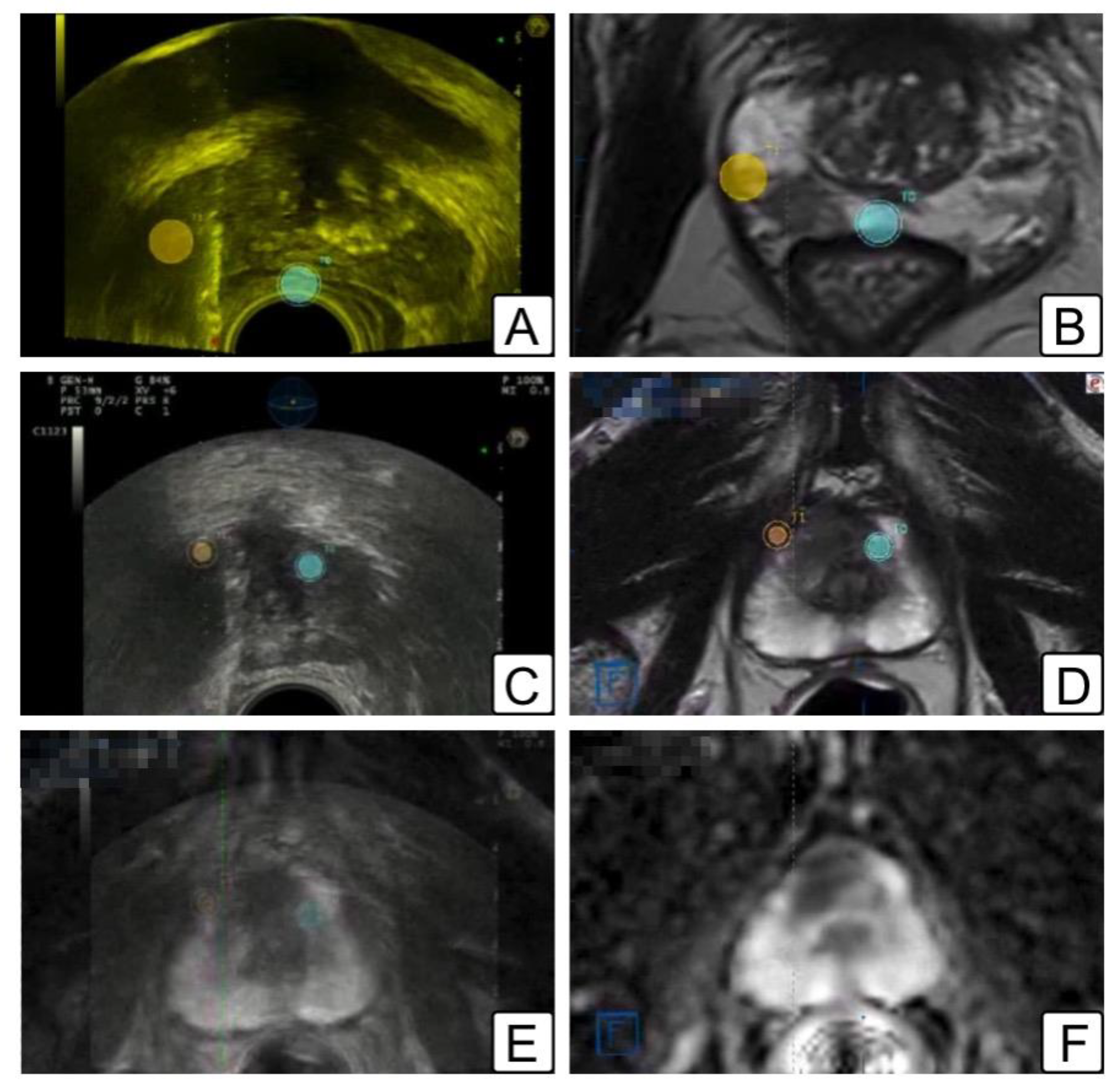 Jcm 11 06304 g002 Jcm 11 06304 g002