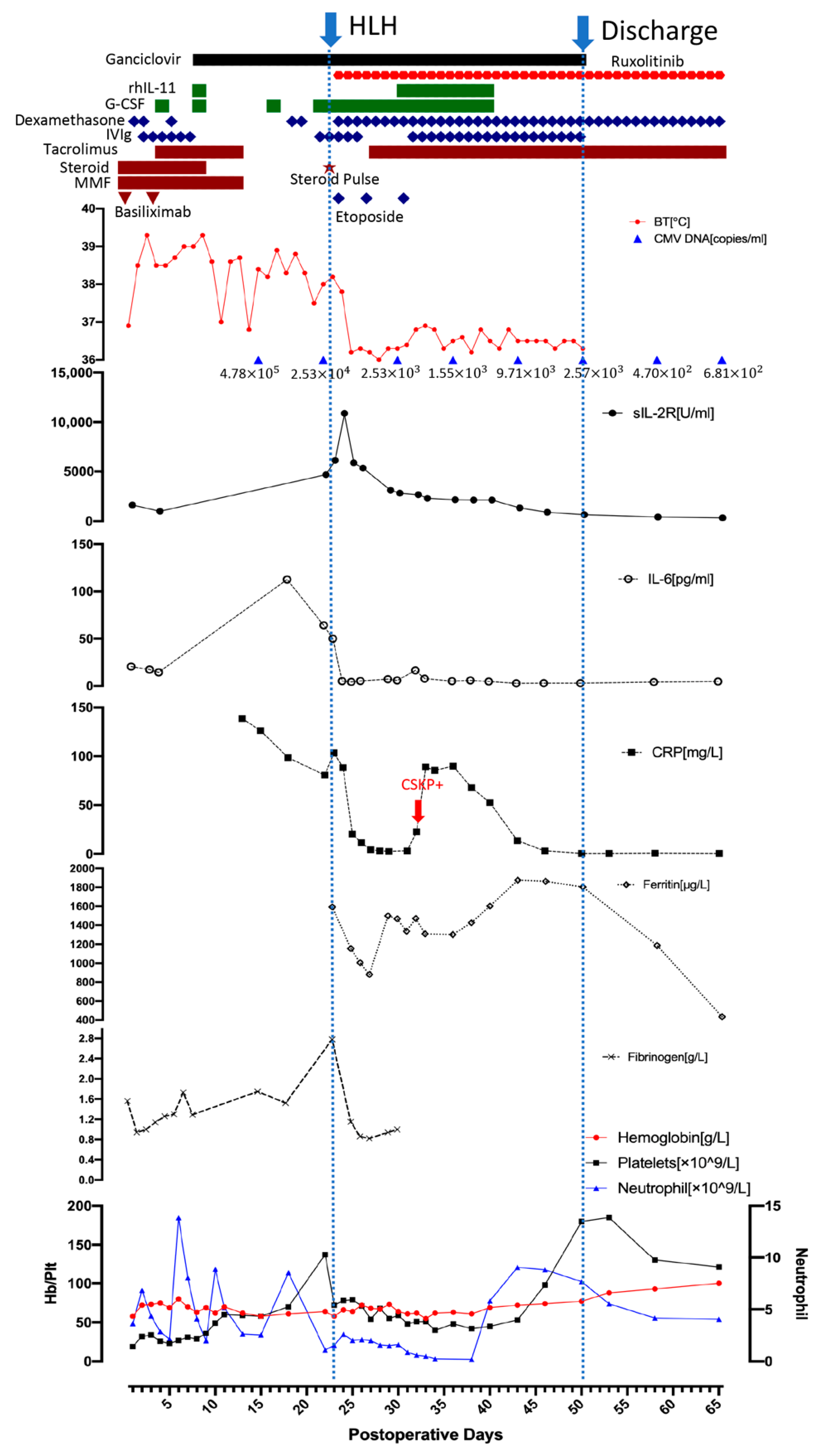 Jcm 11 06308 g001 Jcm 11 06308 g001