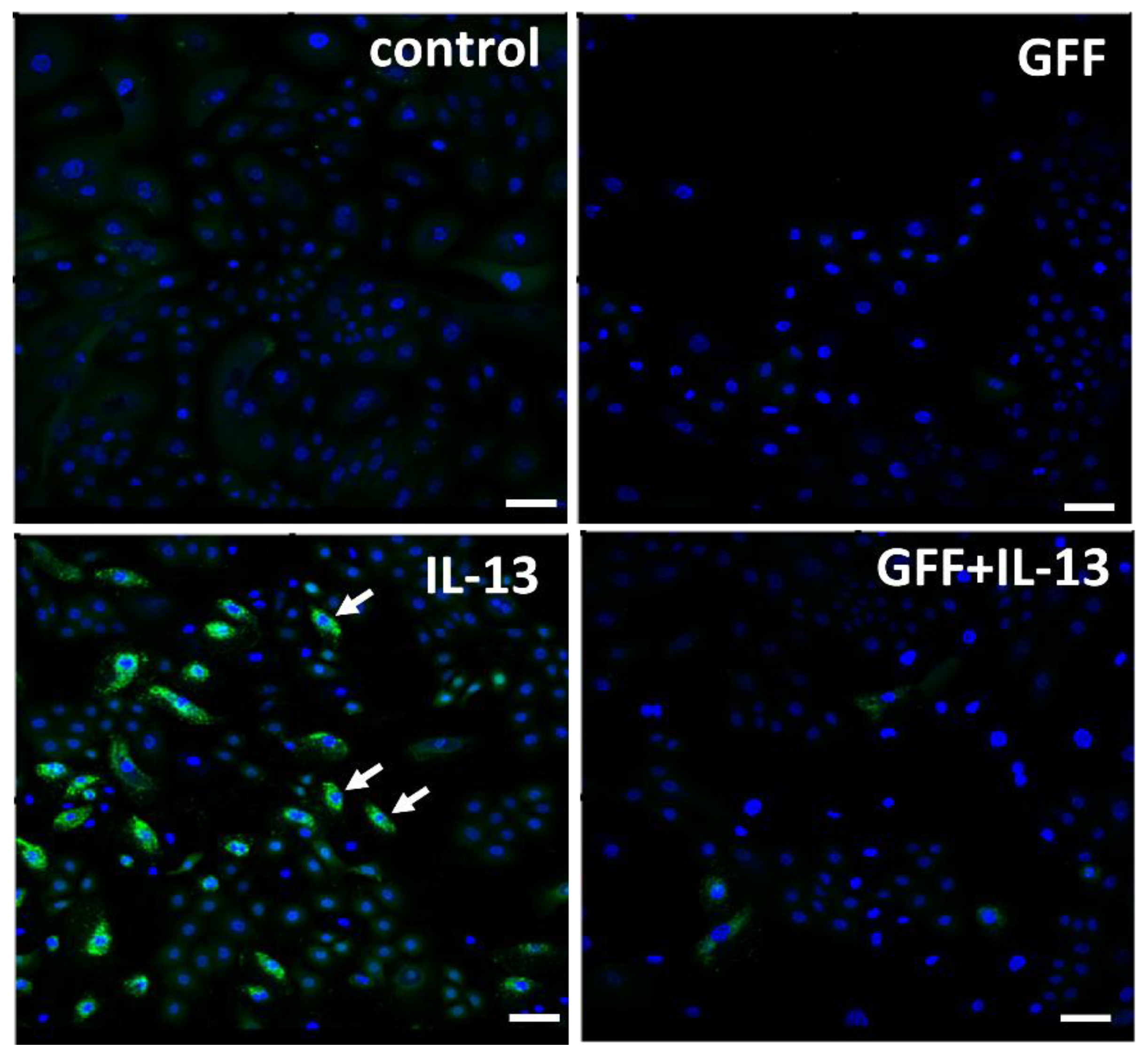 Jcm 11 06338 g004 Jcm 11 06338 g004