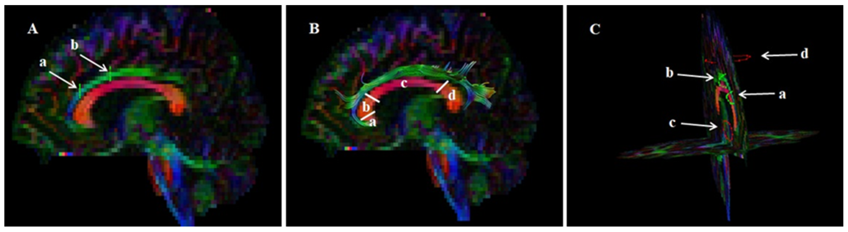 Jcm 11 06352 g001 Jcm 11 06352 g001