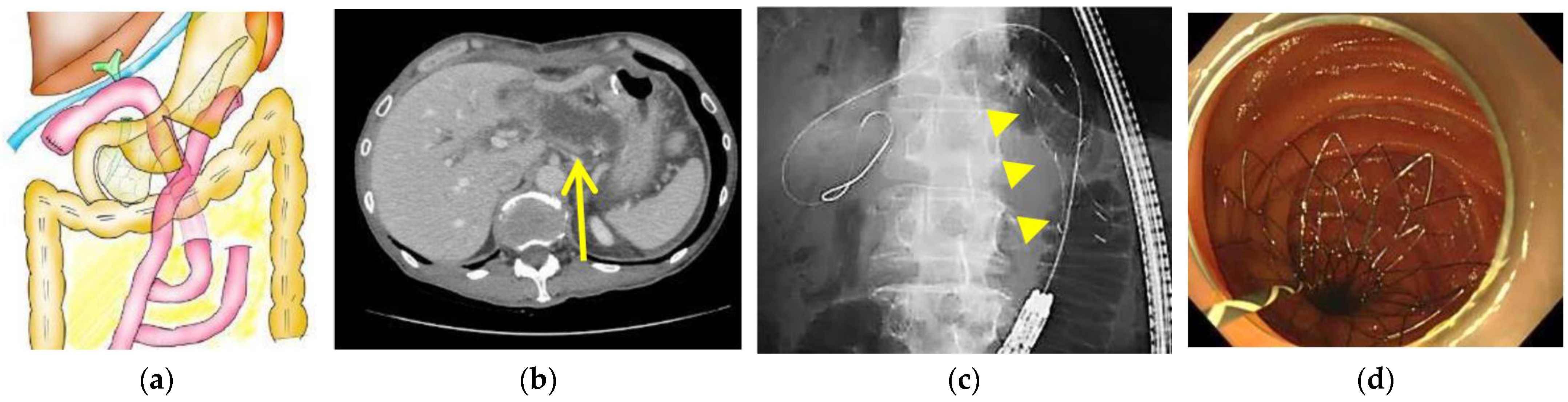 Jcm 11 06357 g001 550
