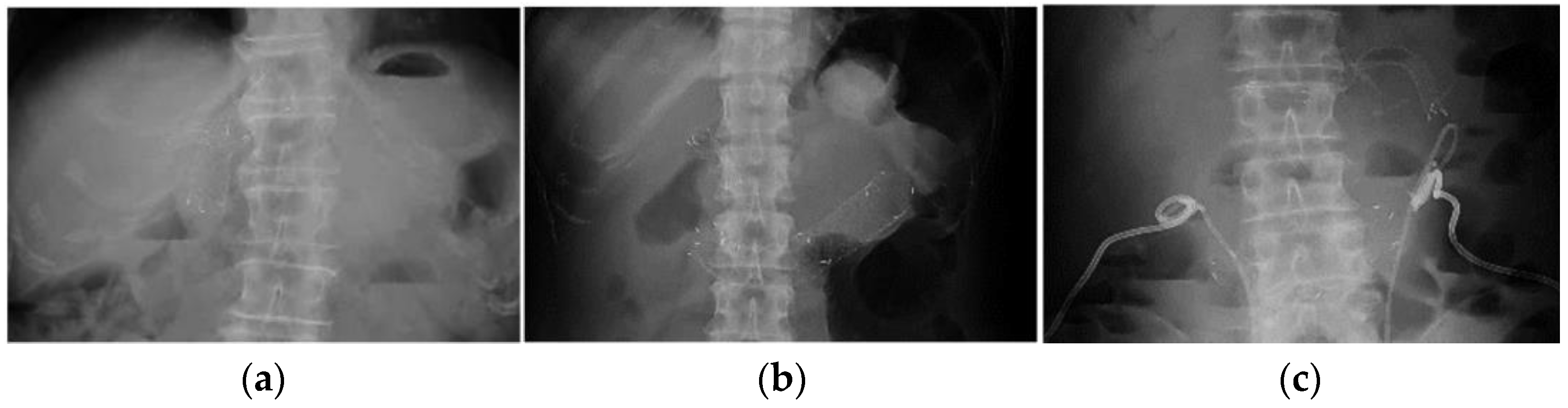 Jcm 11 06357 g003 550