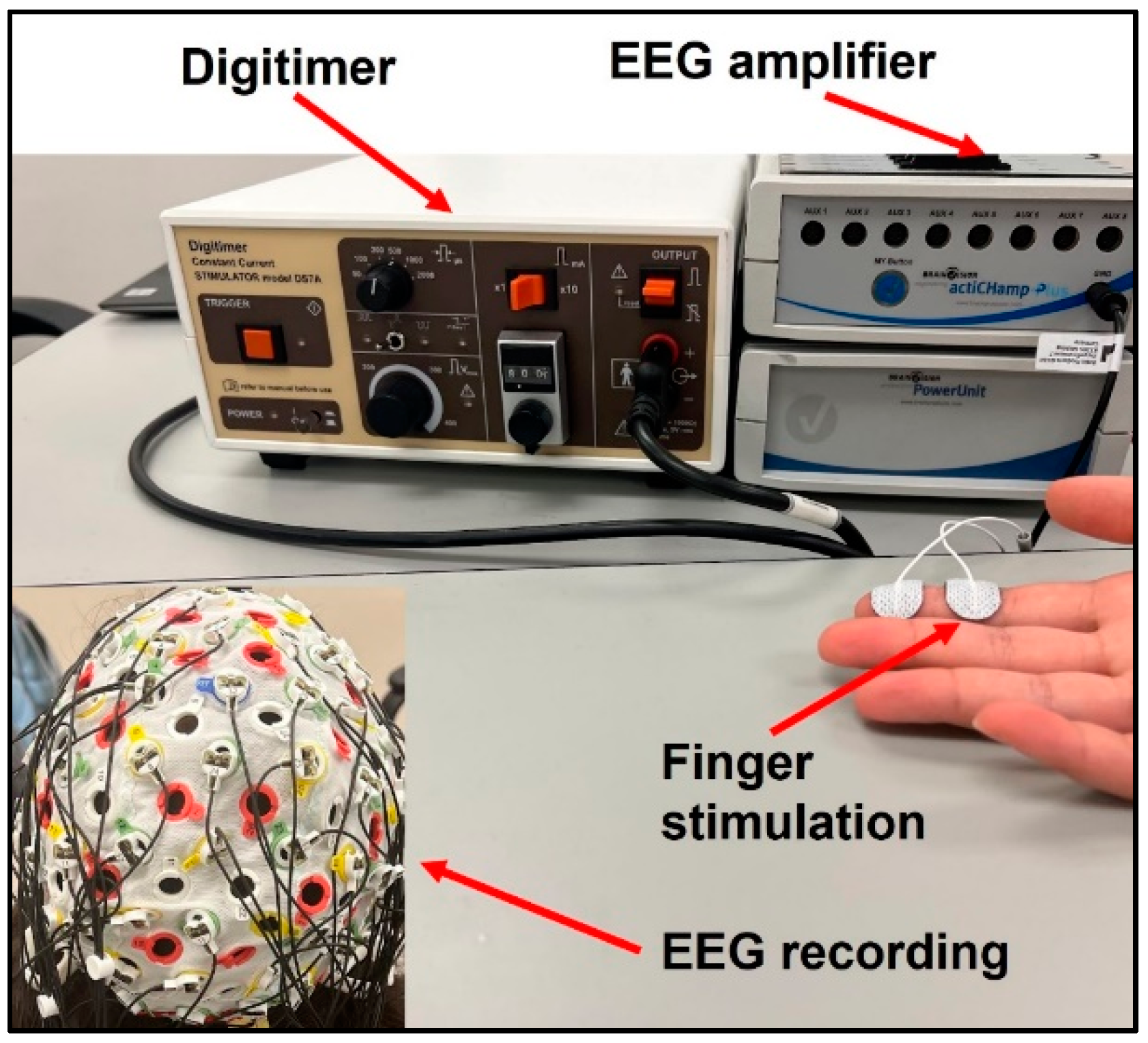 Jcm 11 06449 g001 Jcm 11 06449 g001