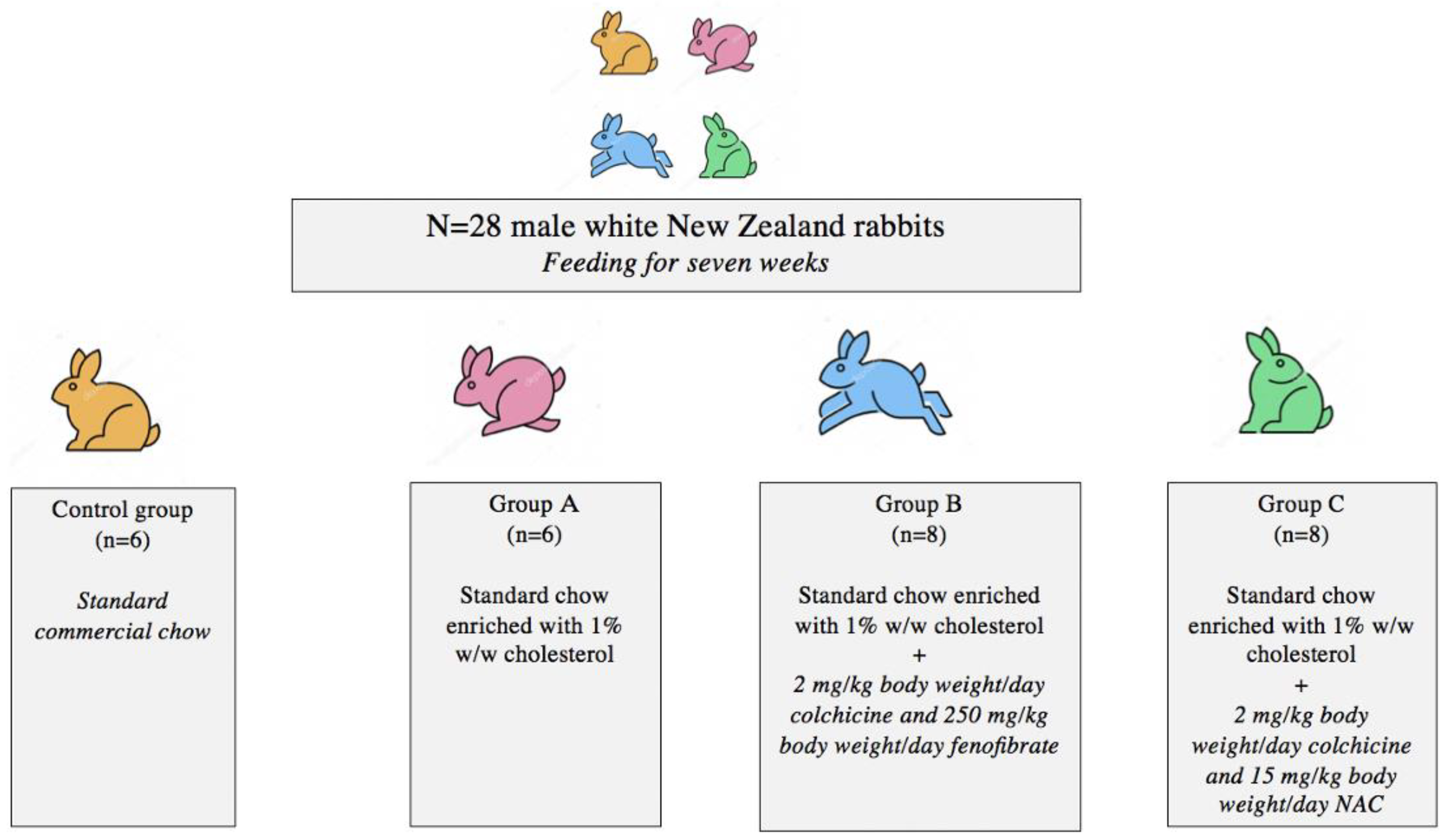 Jcm 11 06465 g001 Jcm 11 06465 g001