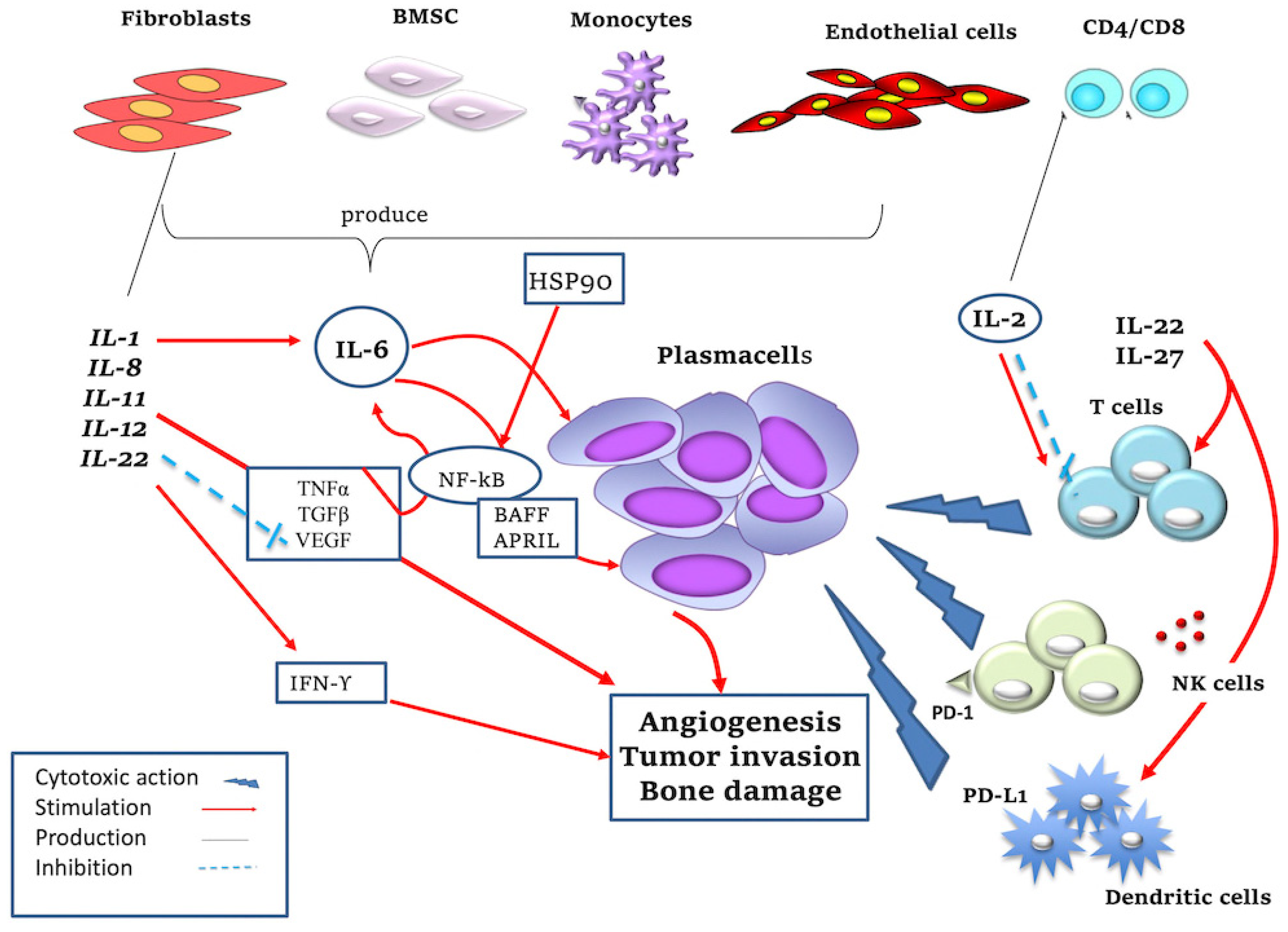 Jcm 11 06491 g001 Jcm 11 06491 g001