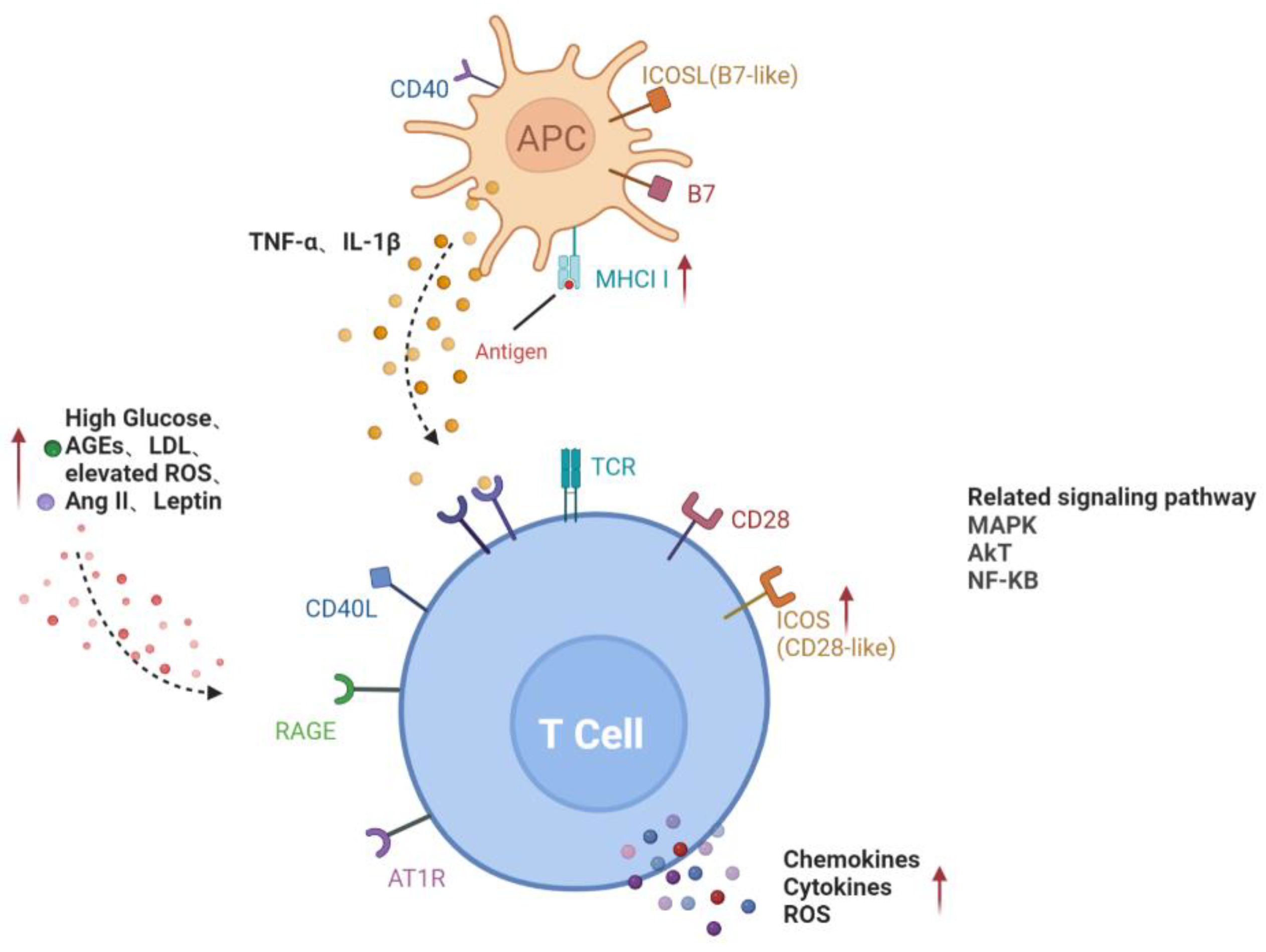 Jcm 11 06499 g001 Jcm 11 06499 g001