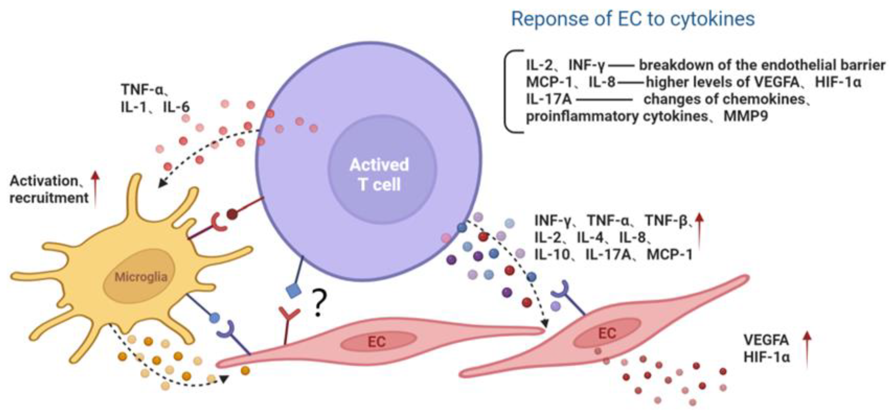 Jcm 11 06499 g002 Jcm 11 06499 g002