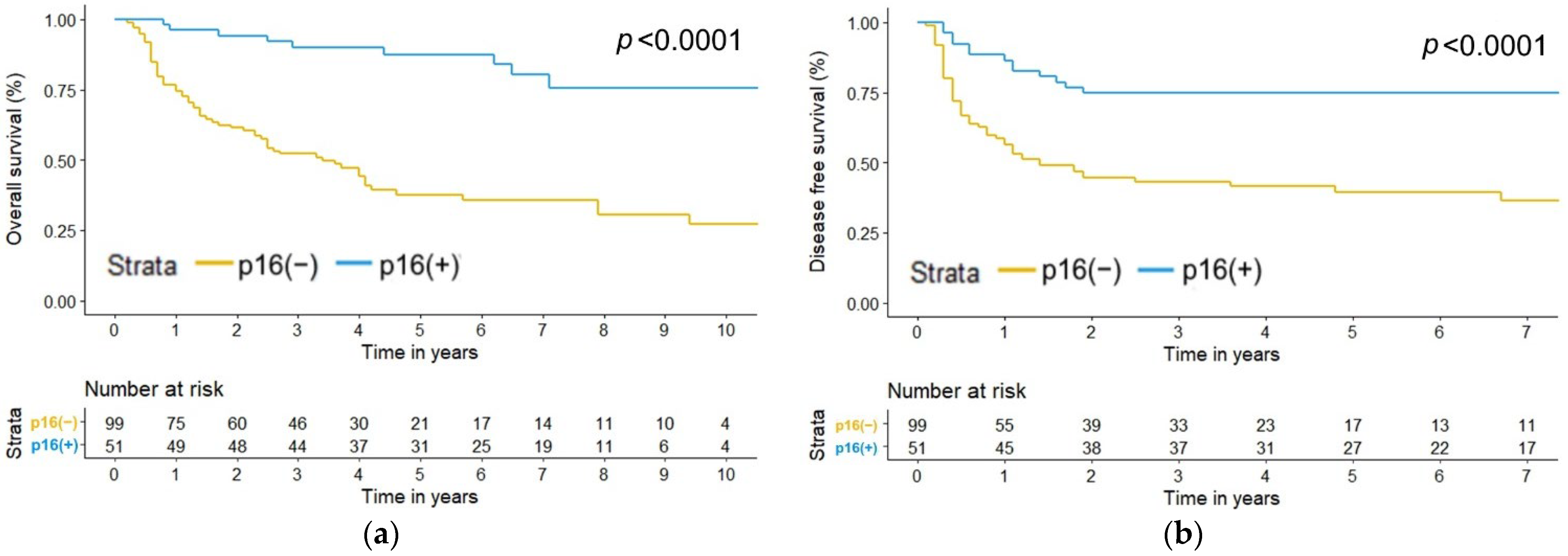 Jcm 11 06510 g001 Jcm 11 06510 g001