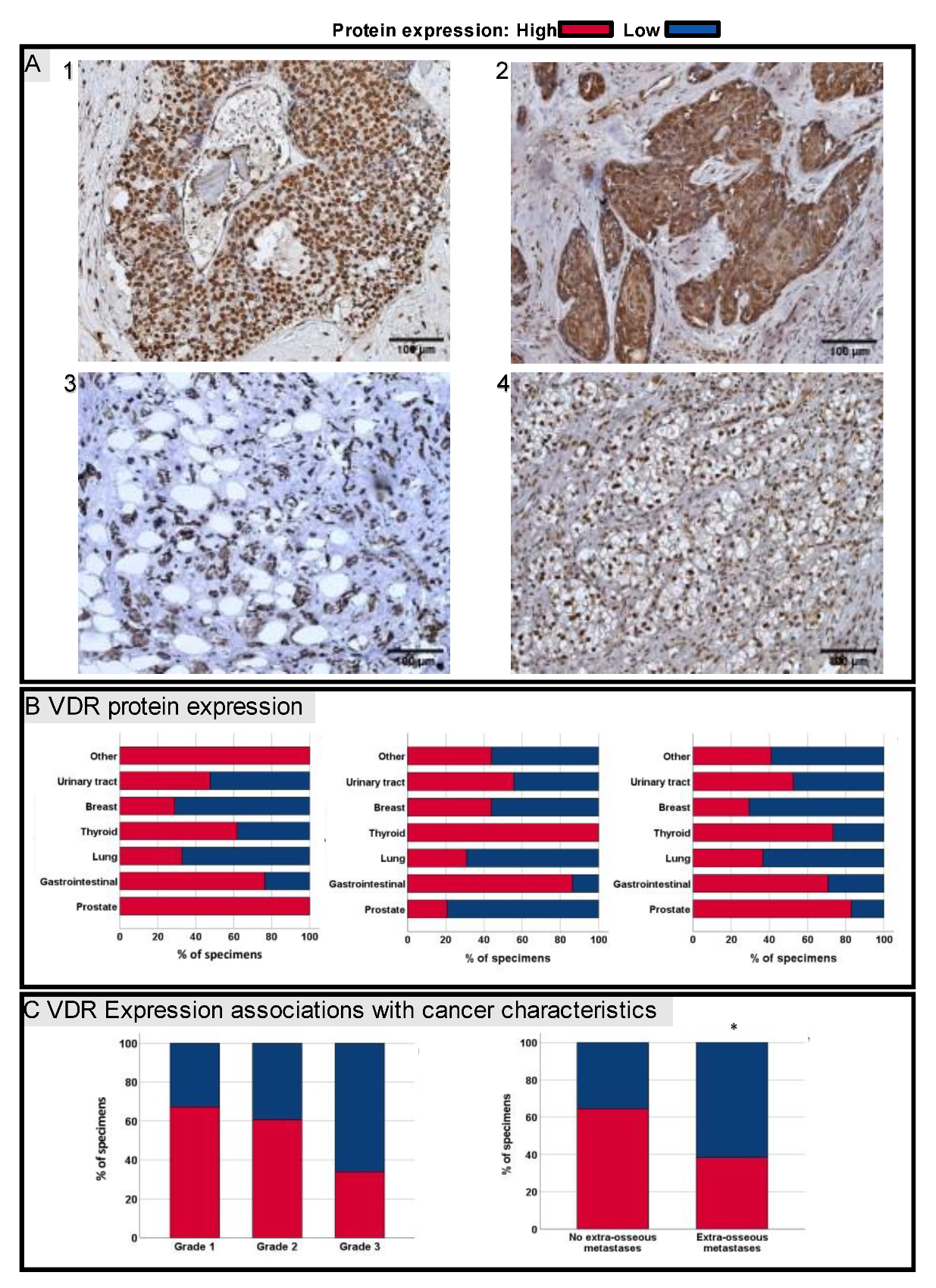 Jcm 11 06537 g001 Jcm 11 06537 g001