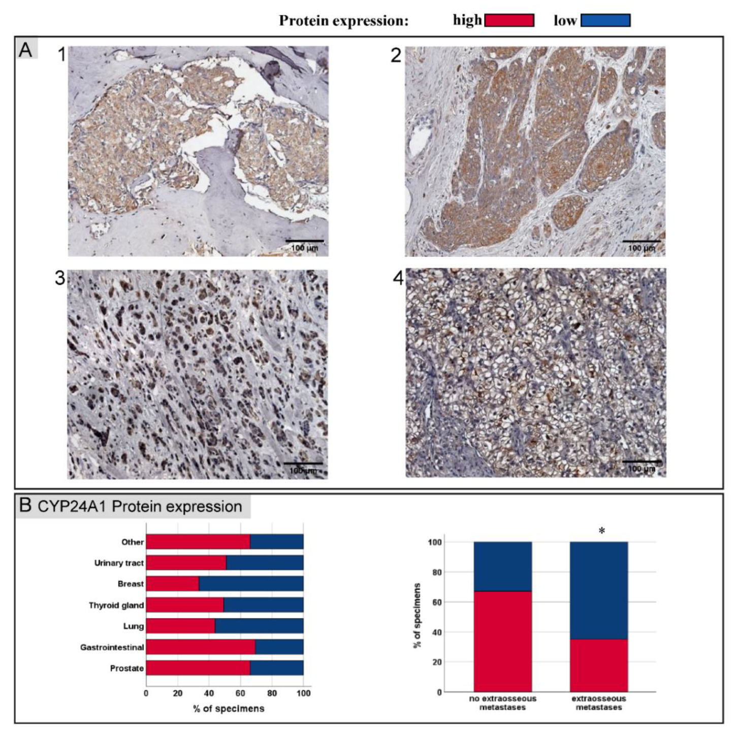 Jcm 11 06537 g002 Jcm 11 06537 g002