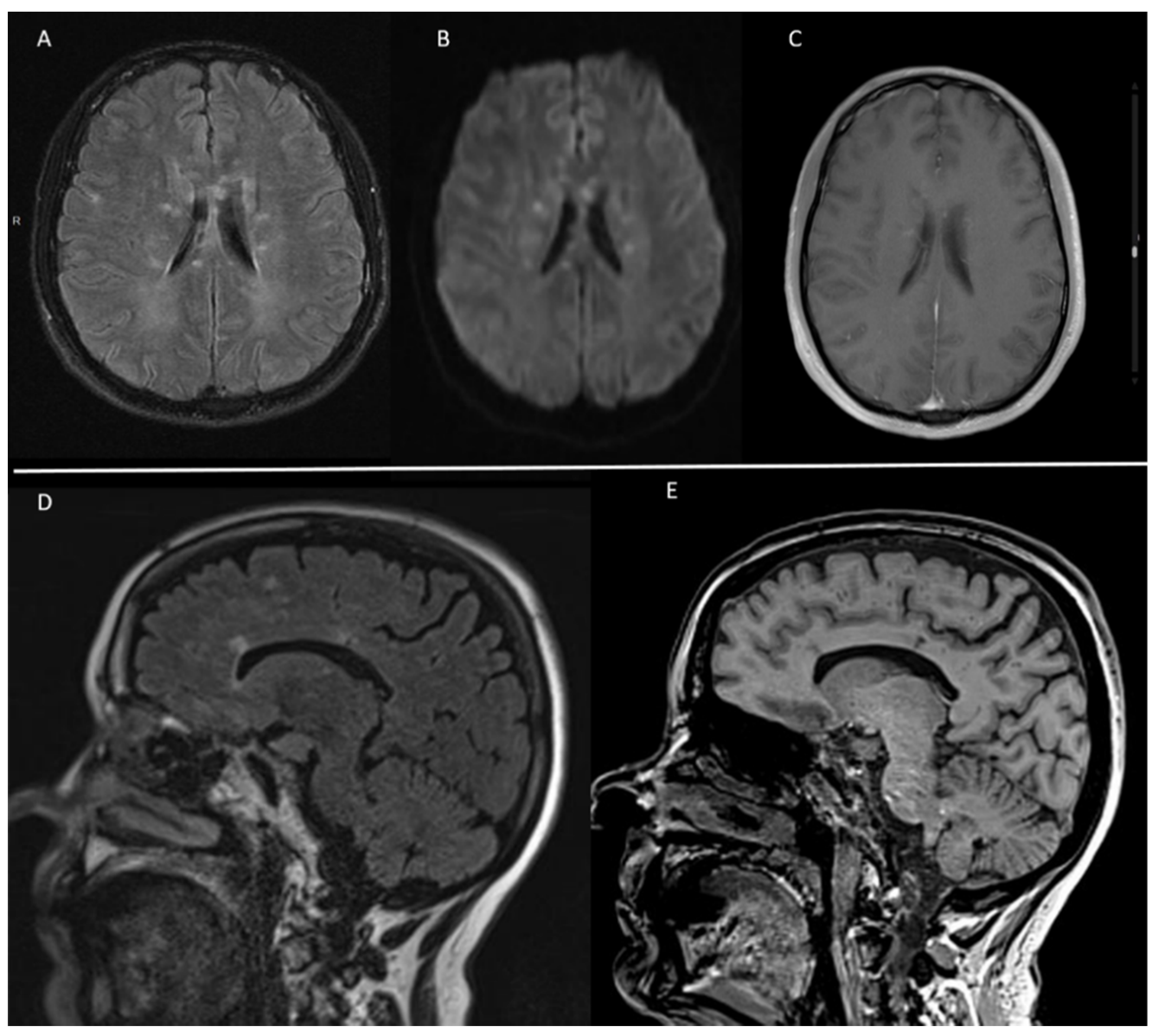 Jcm 11 06549 g001 Jcm 11 06549 g001