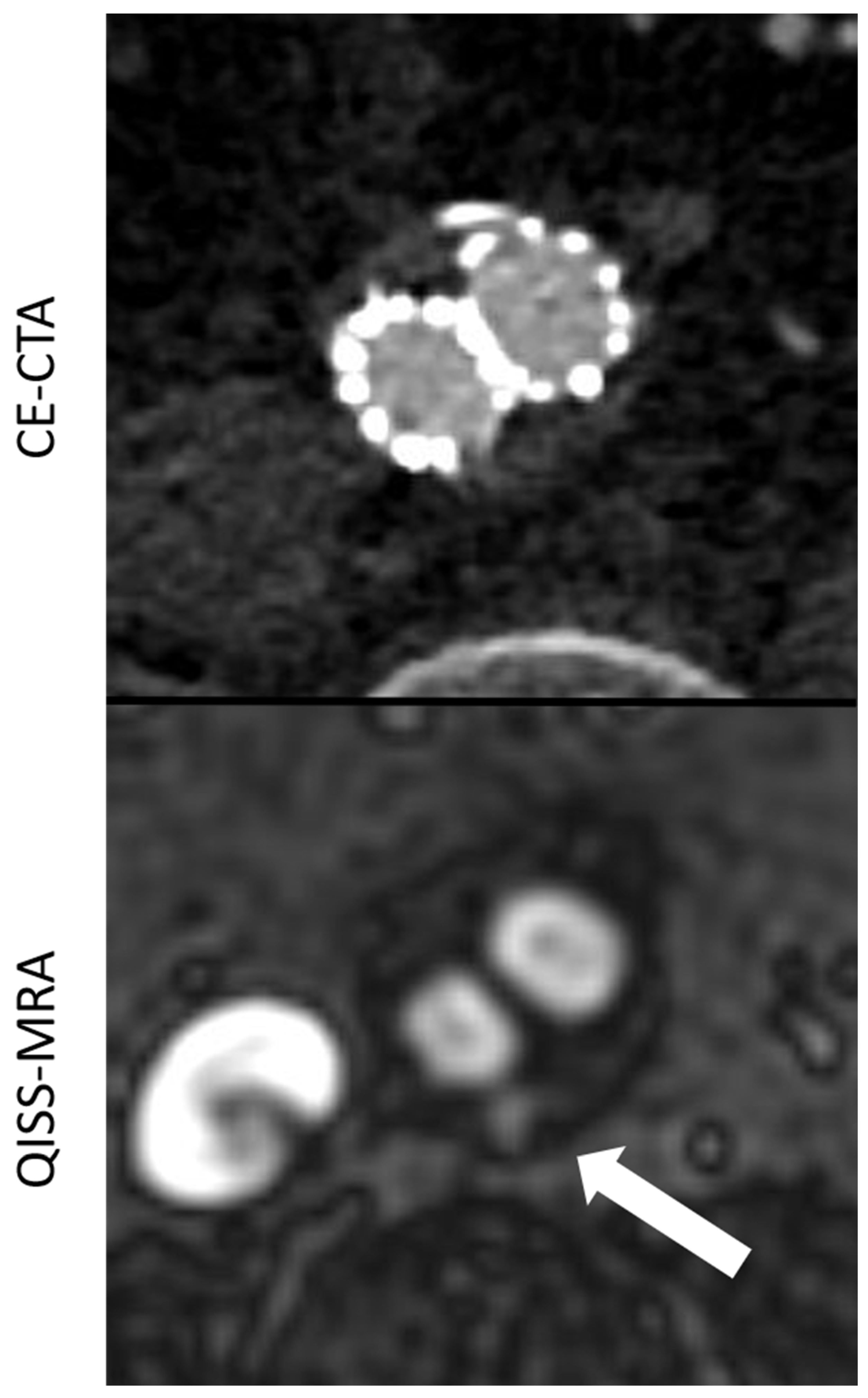 Jcm 11 06551 g002 Jcm 11 06551 g002