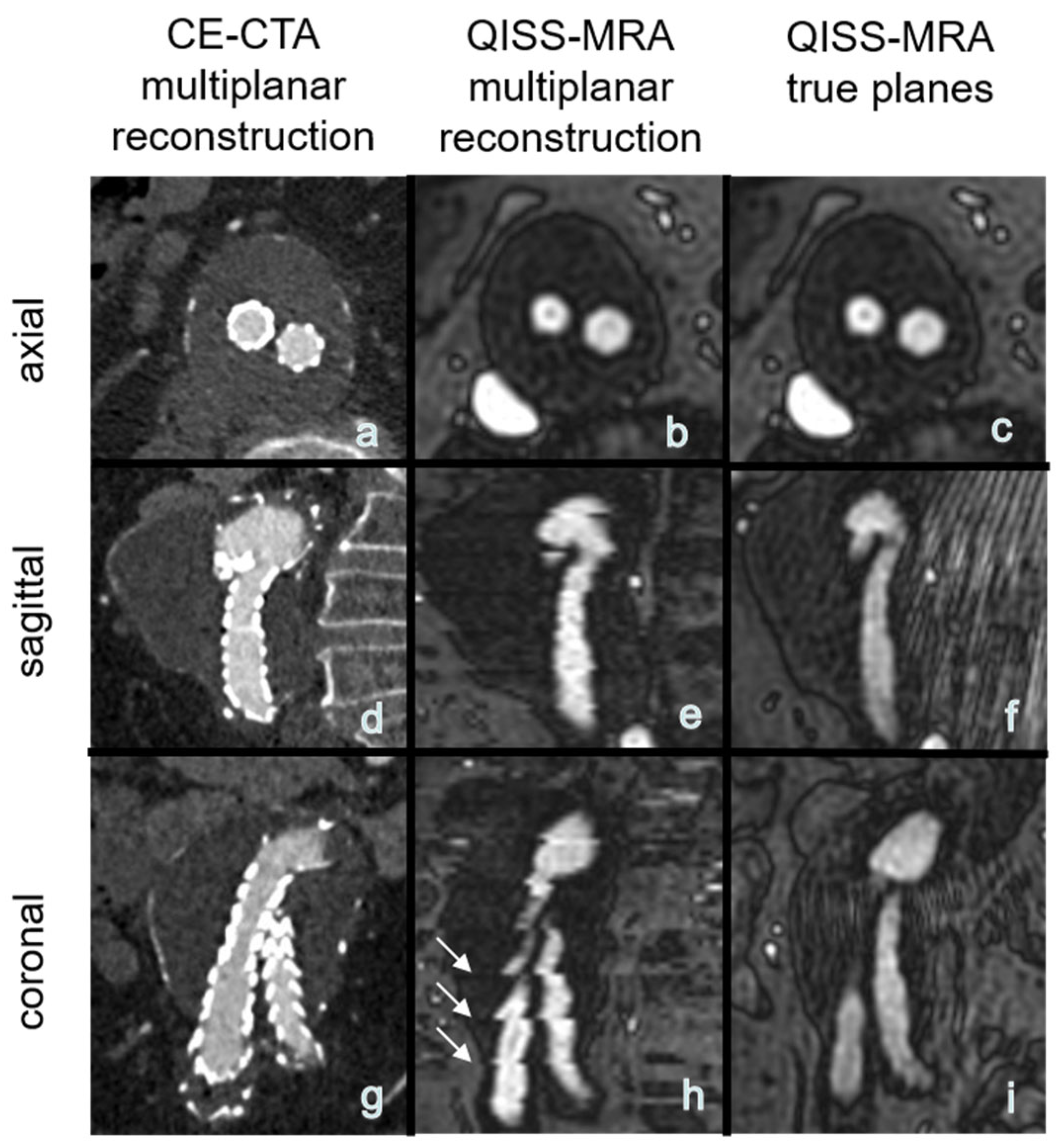 Jcm 11 06551 g005 Jcm 11 06551 g005