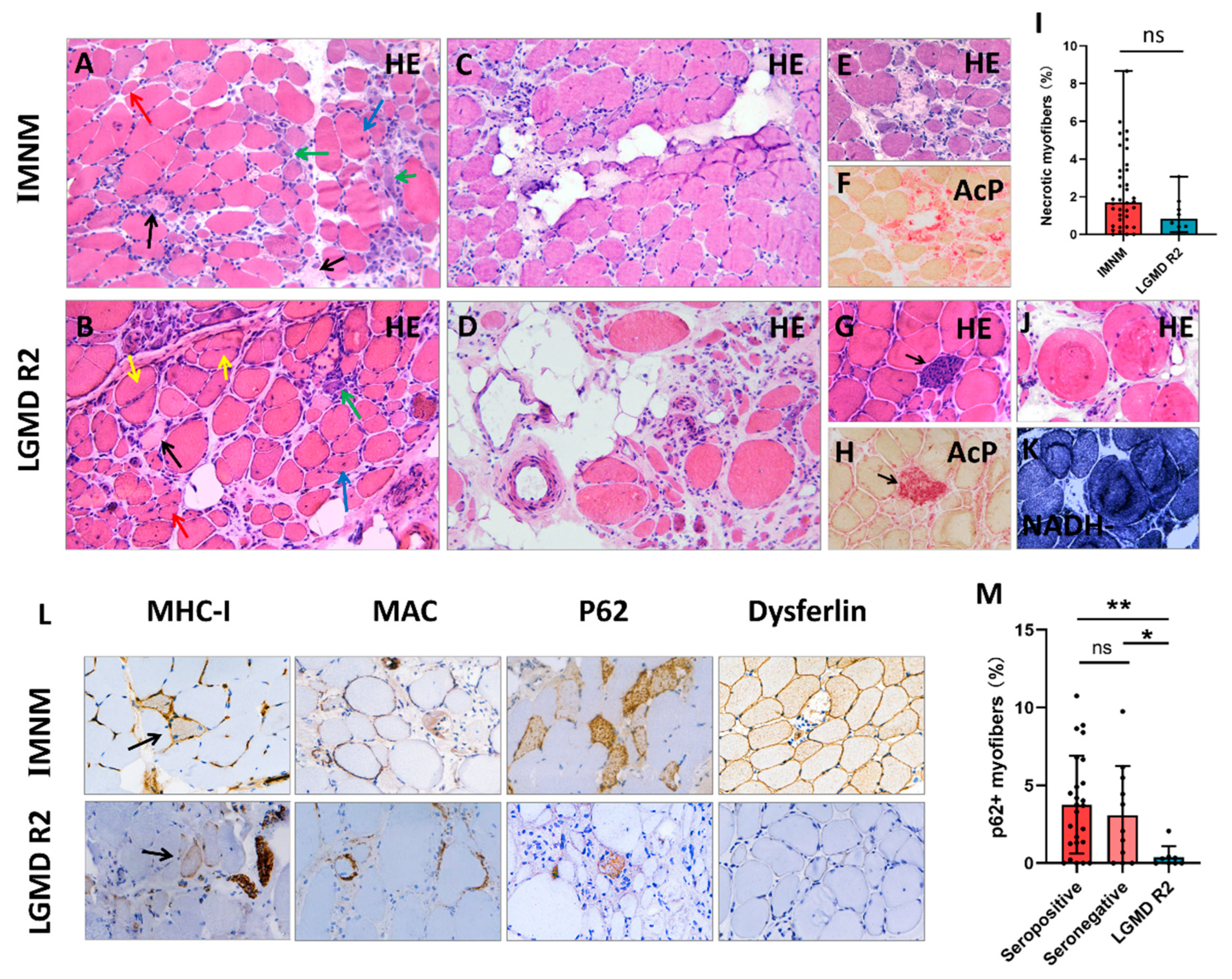 Jcm 11 06566 g002 Jcm 11 06566 g002