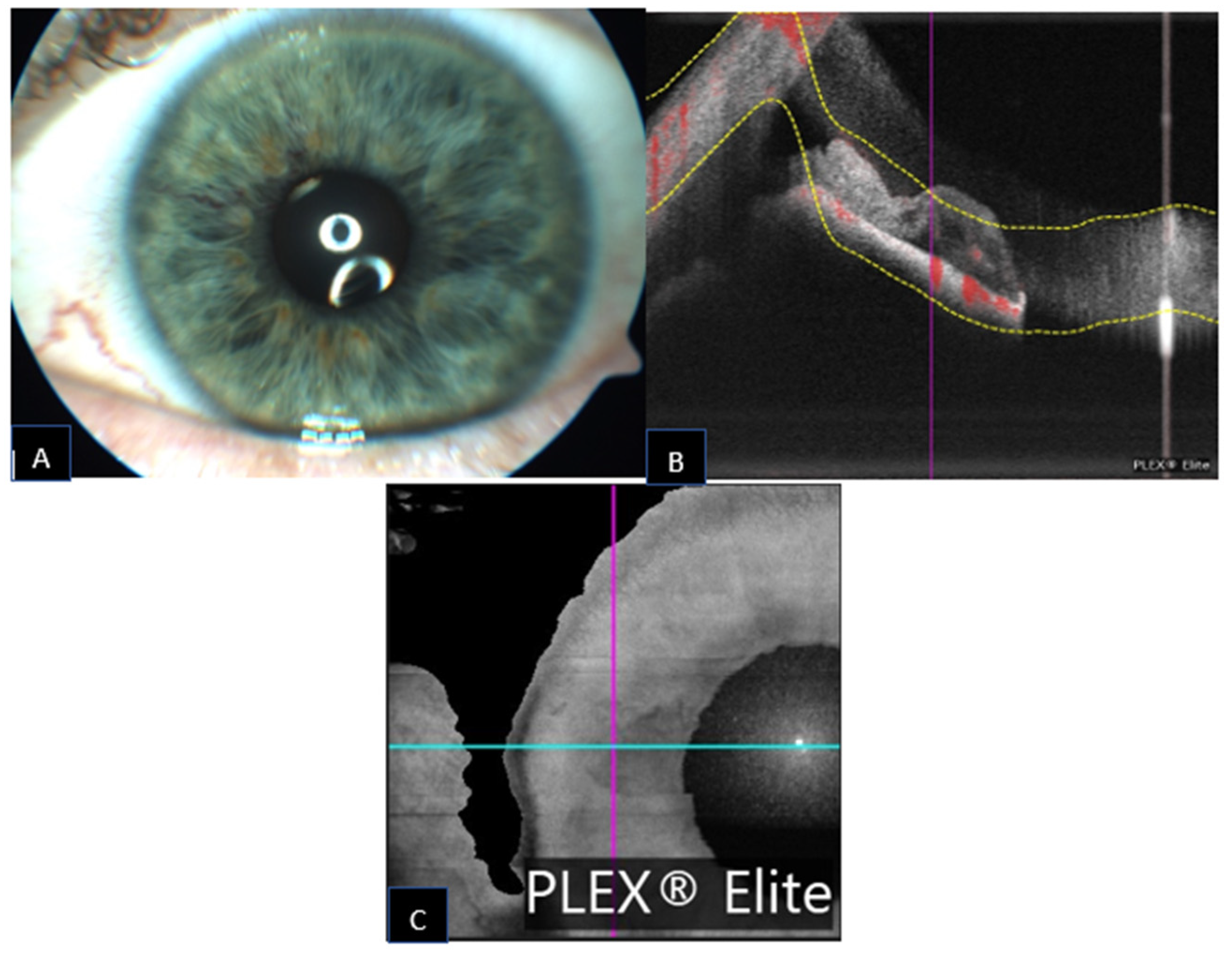 Jcm 11 06575 g005 Jcm 11 06575 g005