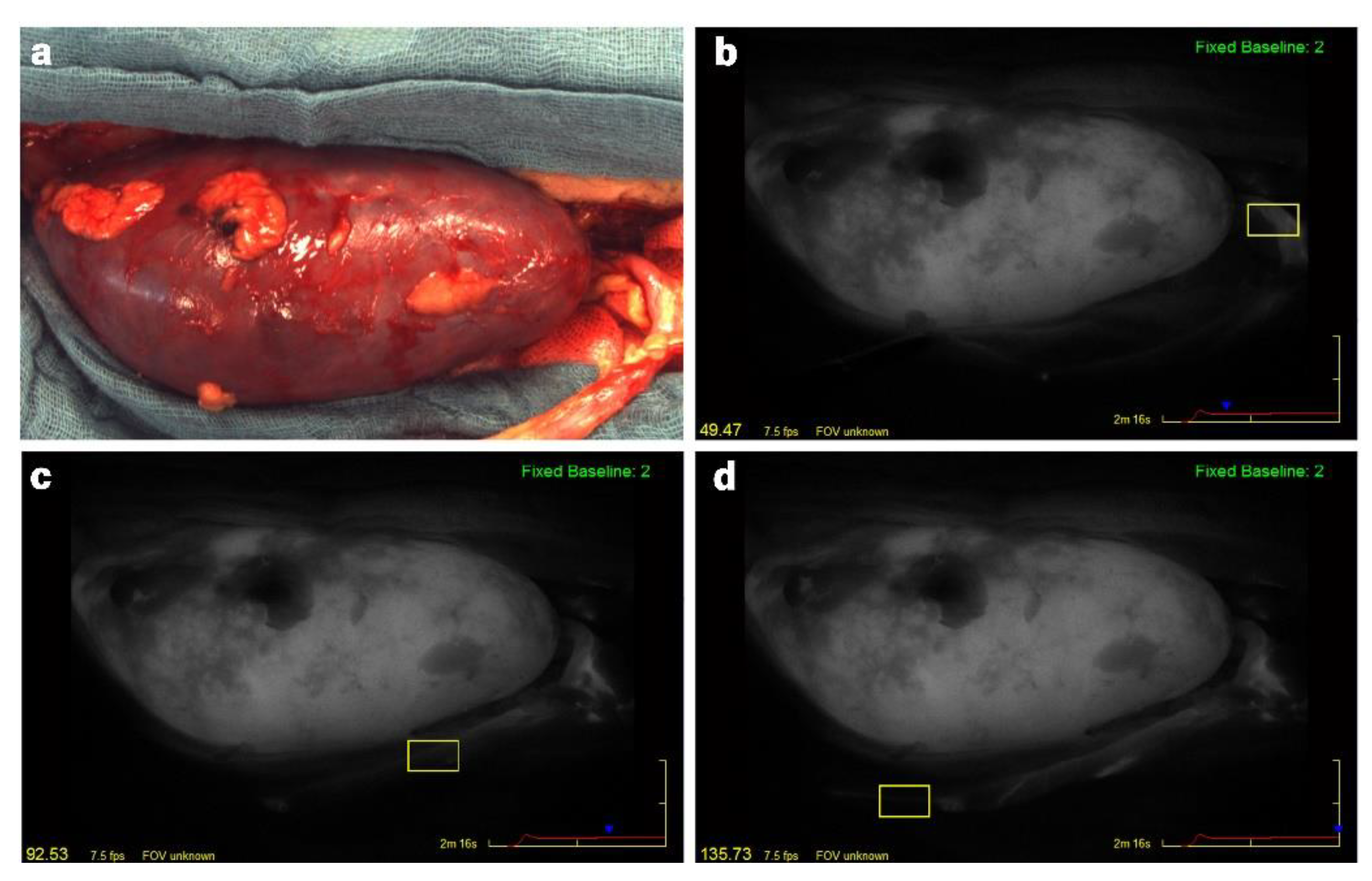 Jcm 11 06585 g001 Jcm 11 06585 g001