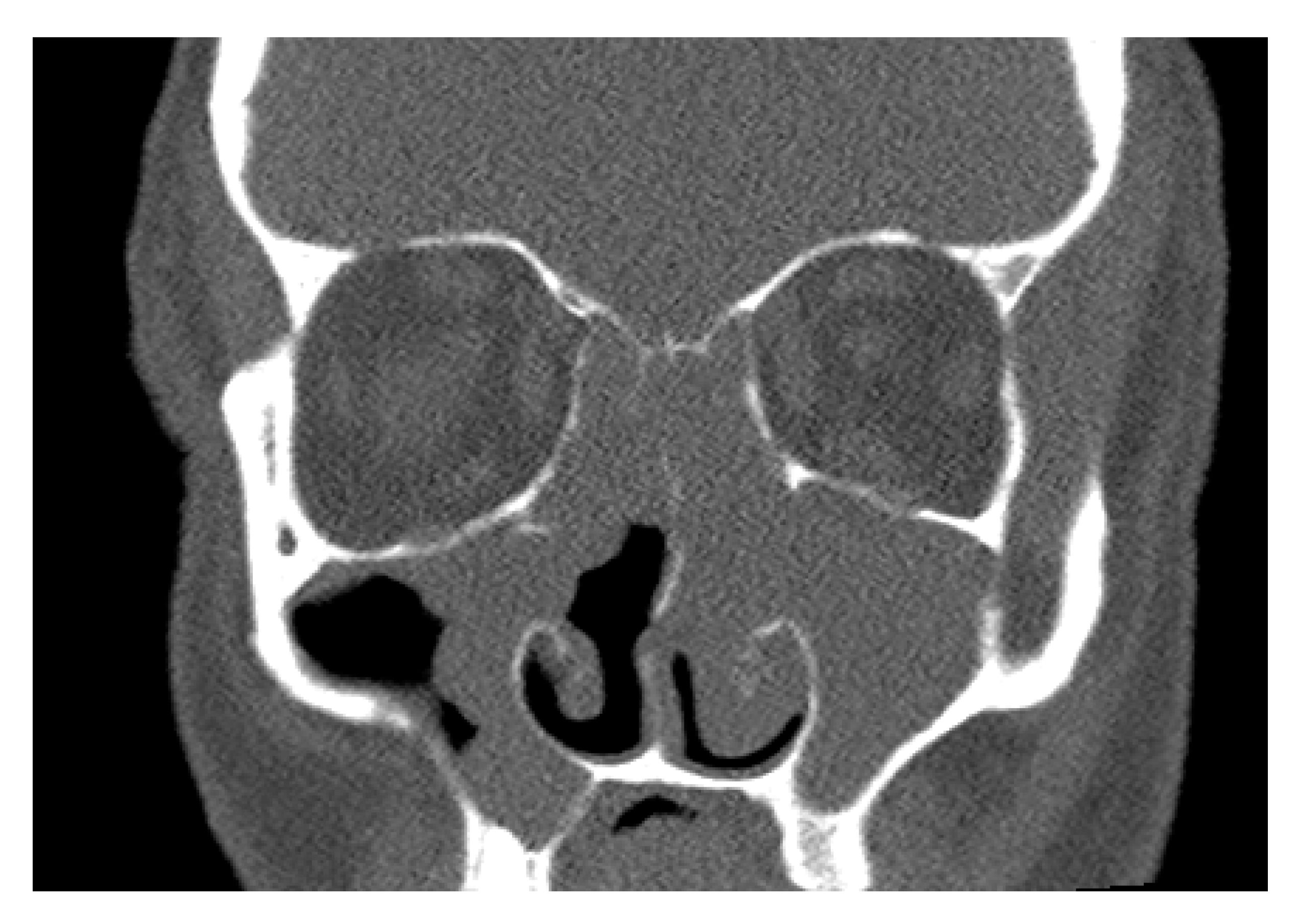 Jcm 11 06628 g003 Jcm 11 06628 g003