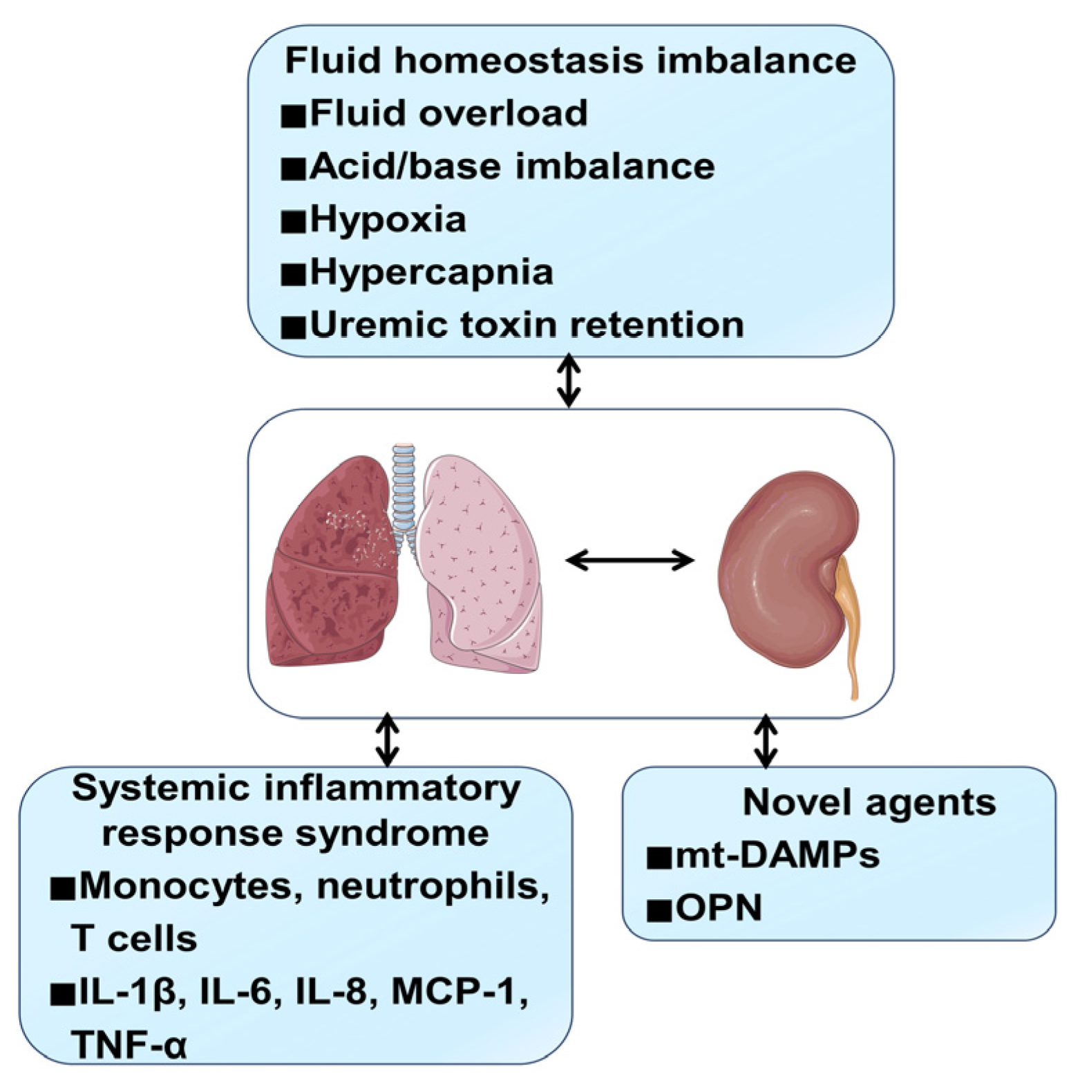 Organ Crosstalk In Acute Kidney Injury Evidence And Mechanisms organ-crosstalk-in-acute-kidney-injury-evidence-and-mechanisms