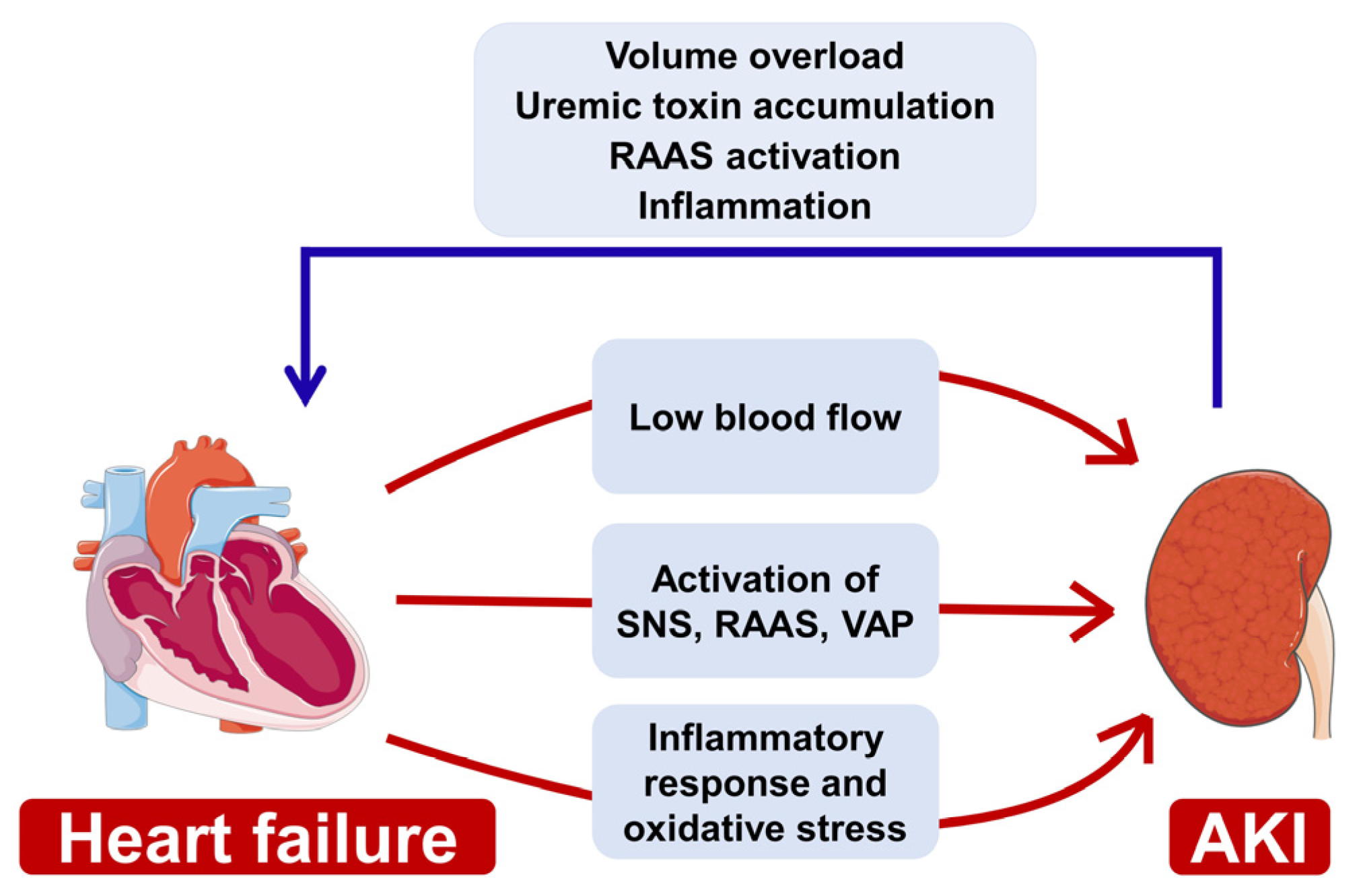 Jcm 11 06637 g003 Jcm 11 06637 g003