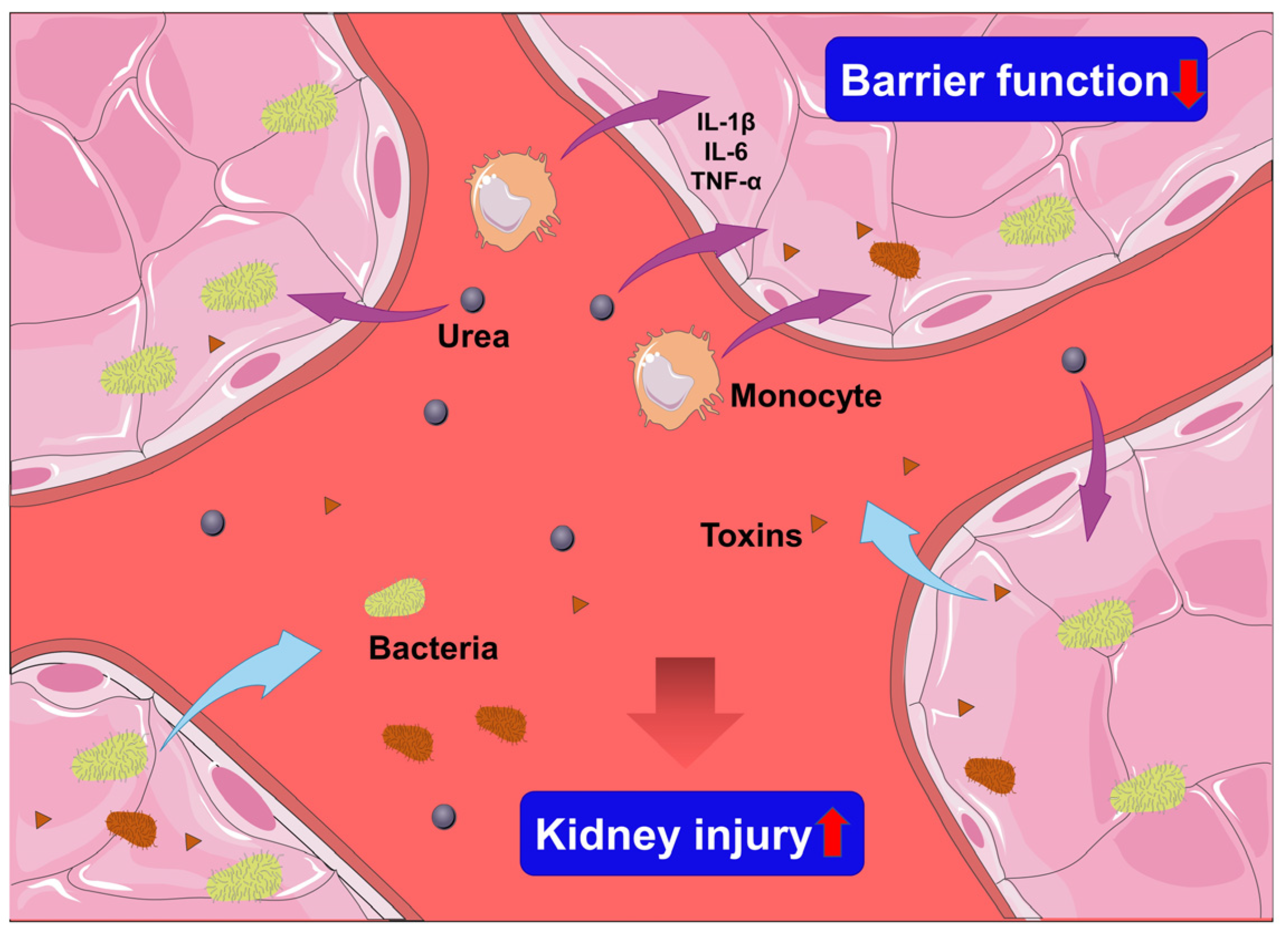 Jcm 11 06637 g004 Jcm 11 06637 g004